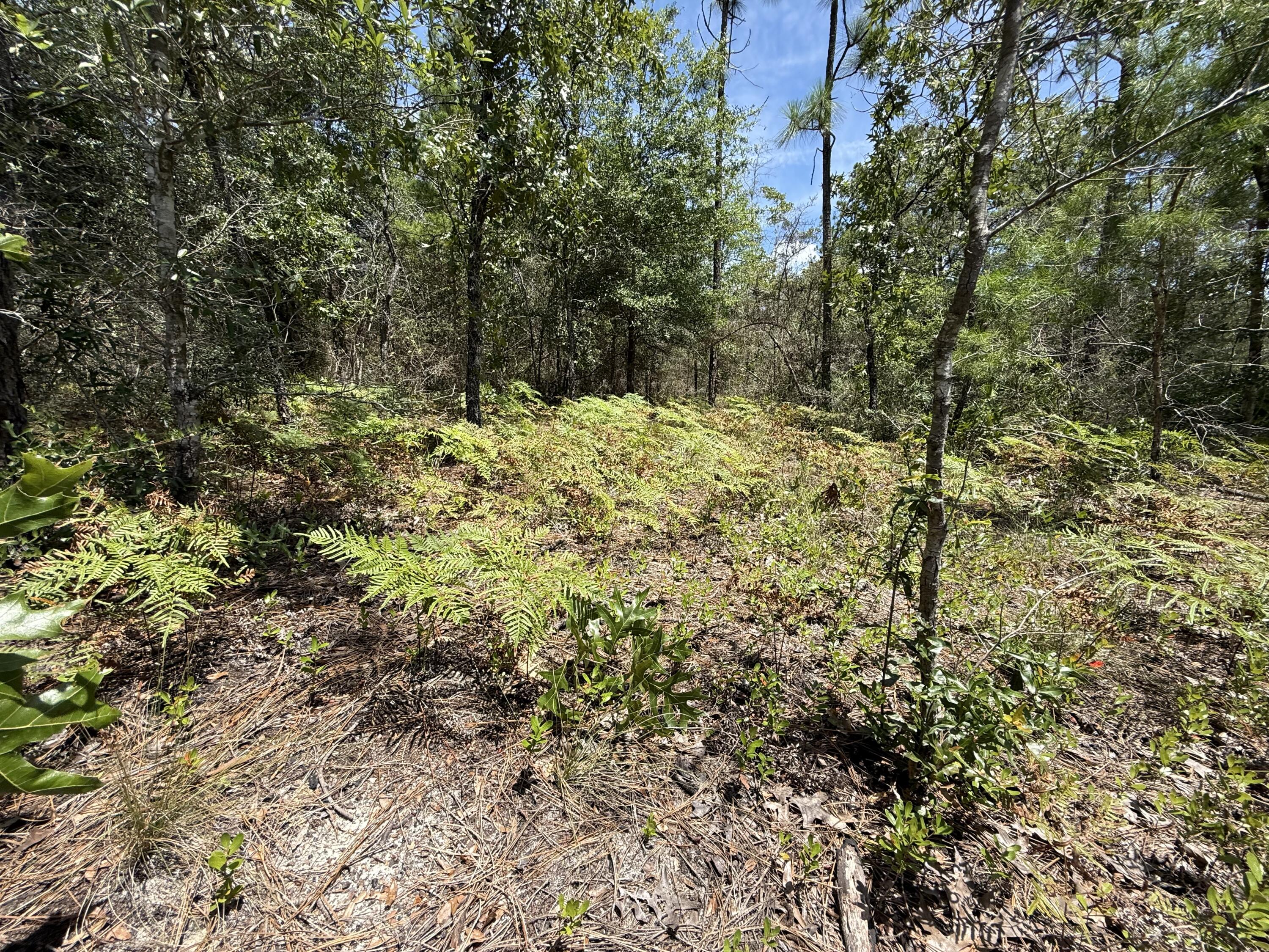 Lot 38 BLK 68 on Clearwater Drive, DeFuniak Springs