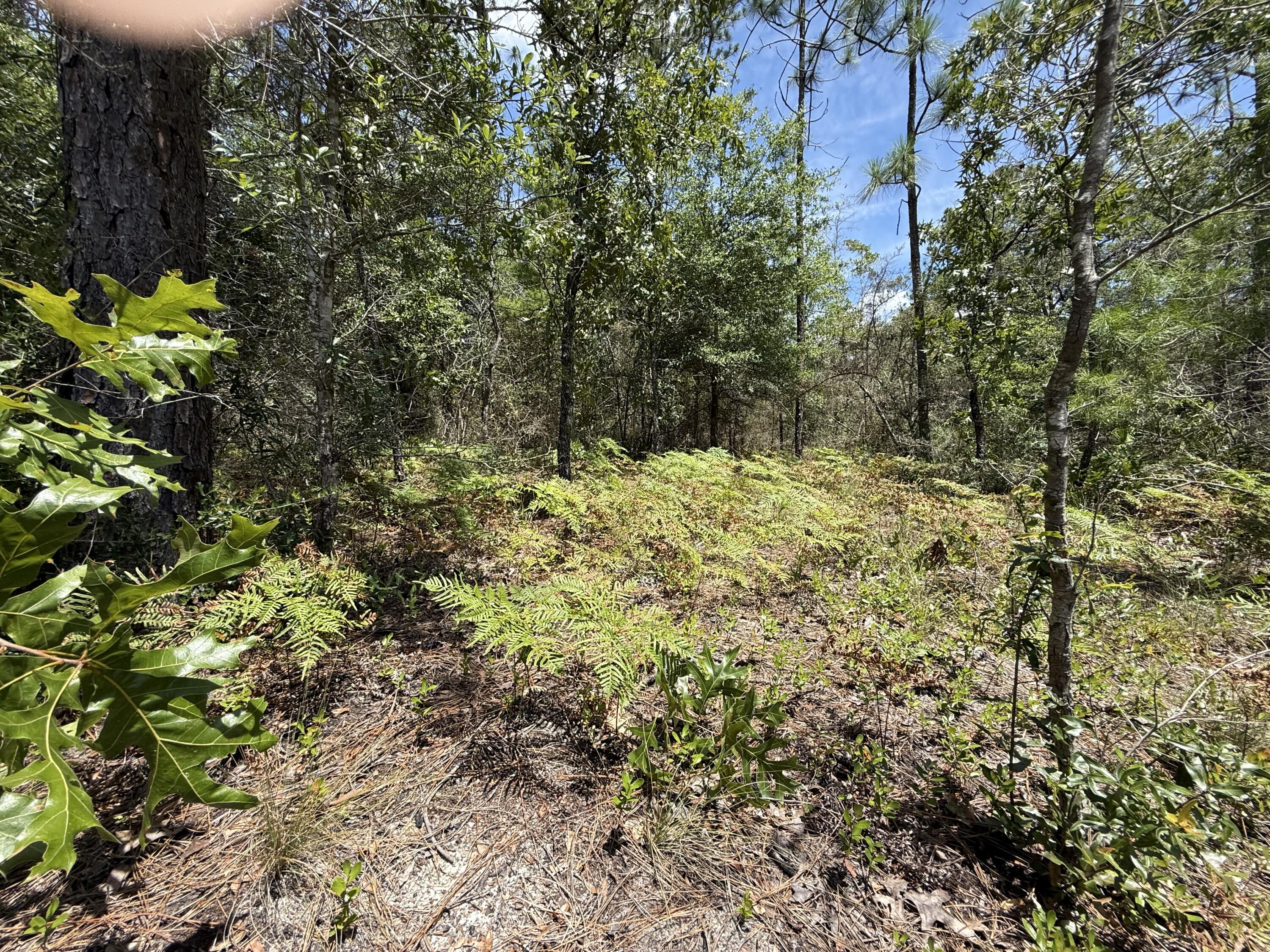 Lot 38 BLK 68 on Clearwater Drive, DeFuniak Springs