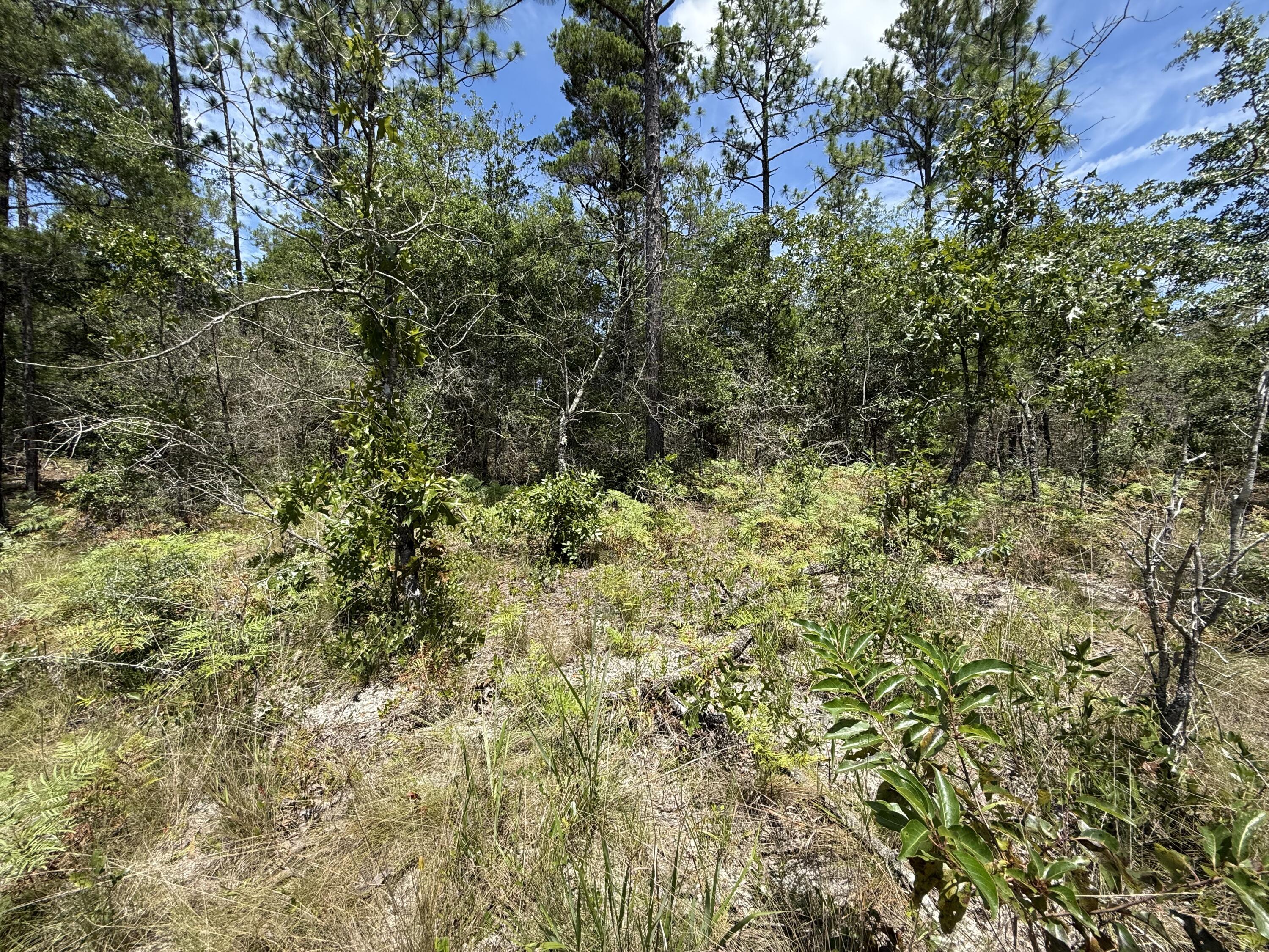 Lot 38 BLK 68 on Clearwater Drive, DeFuniak Springs