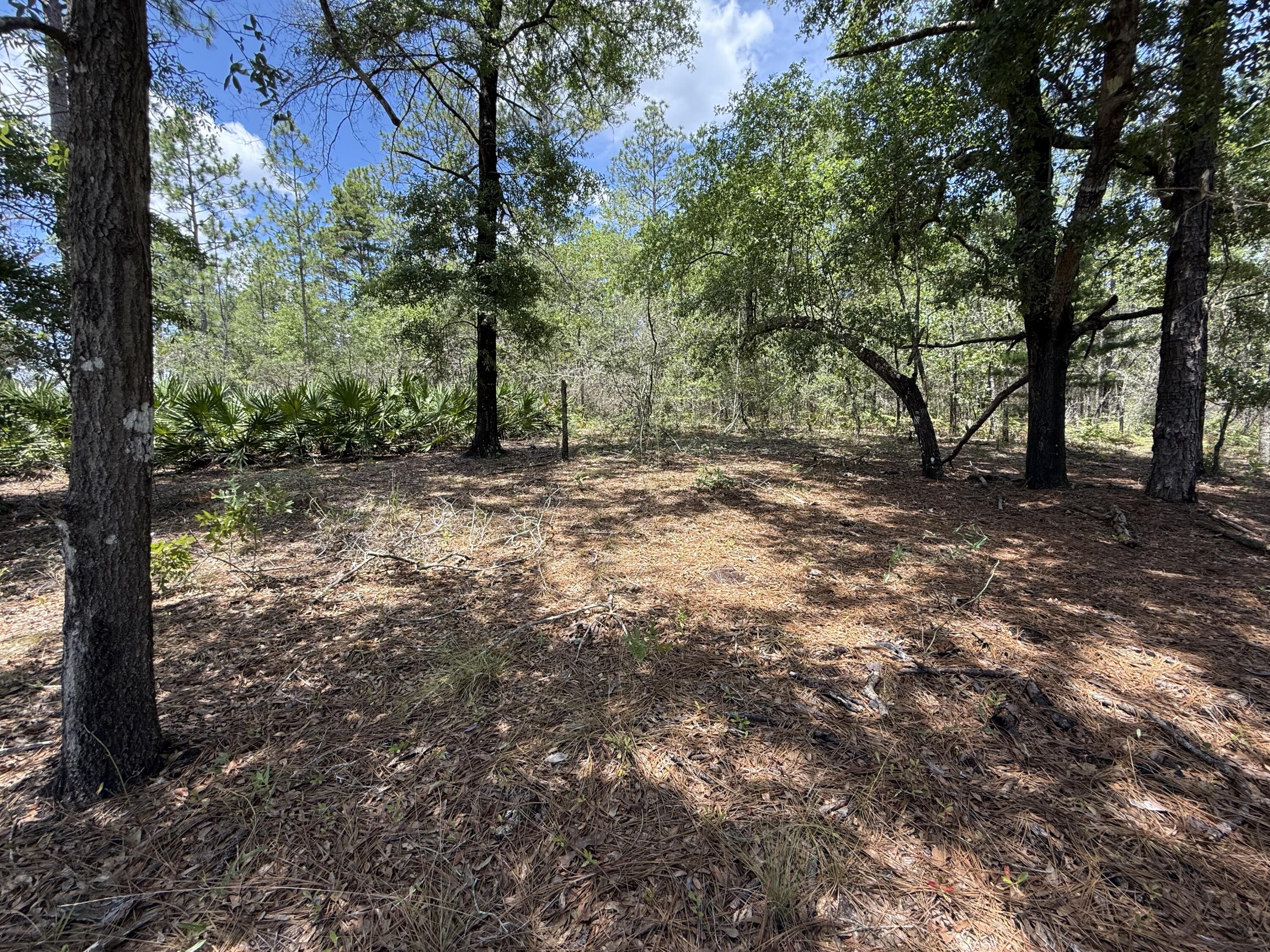 Lot 39 BLk 68 on Clearwater, DeFuniak Springs