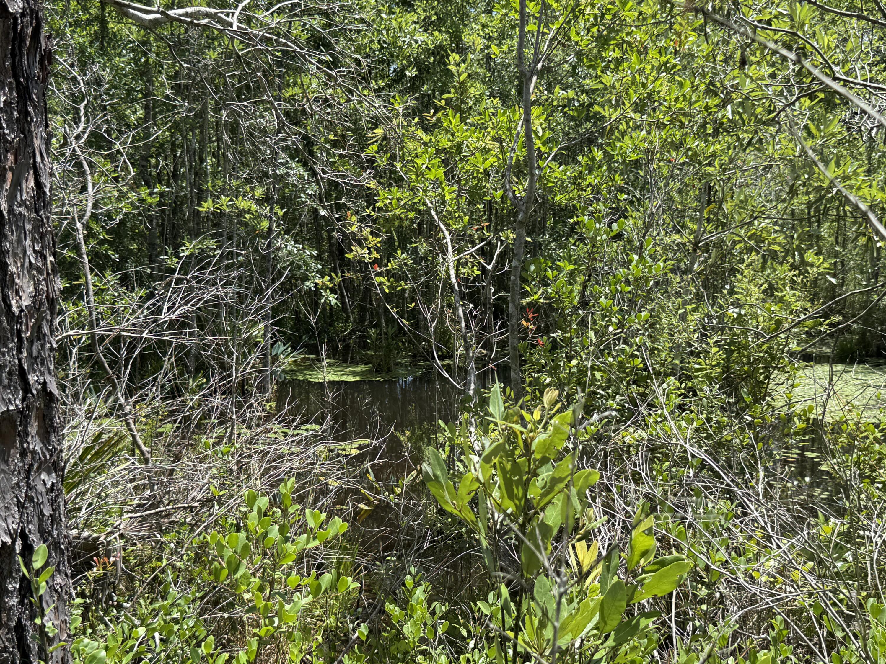 Lot 39 BLk 68 on Clearwater, DeFuniak Springs