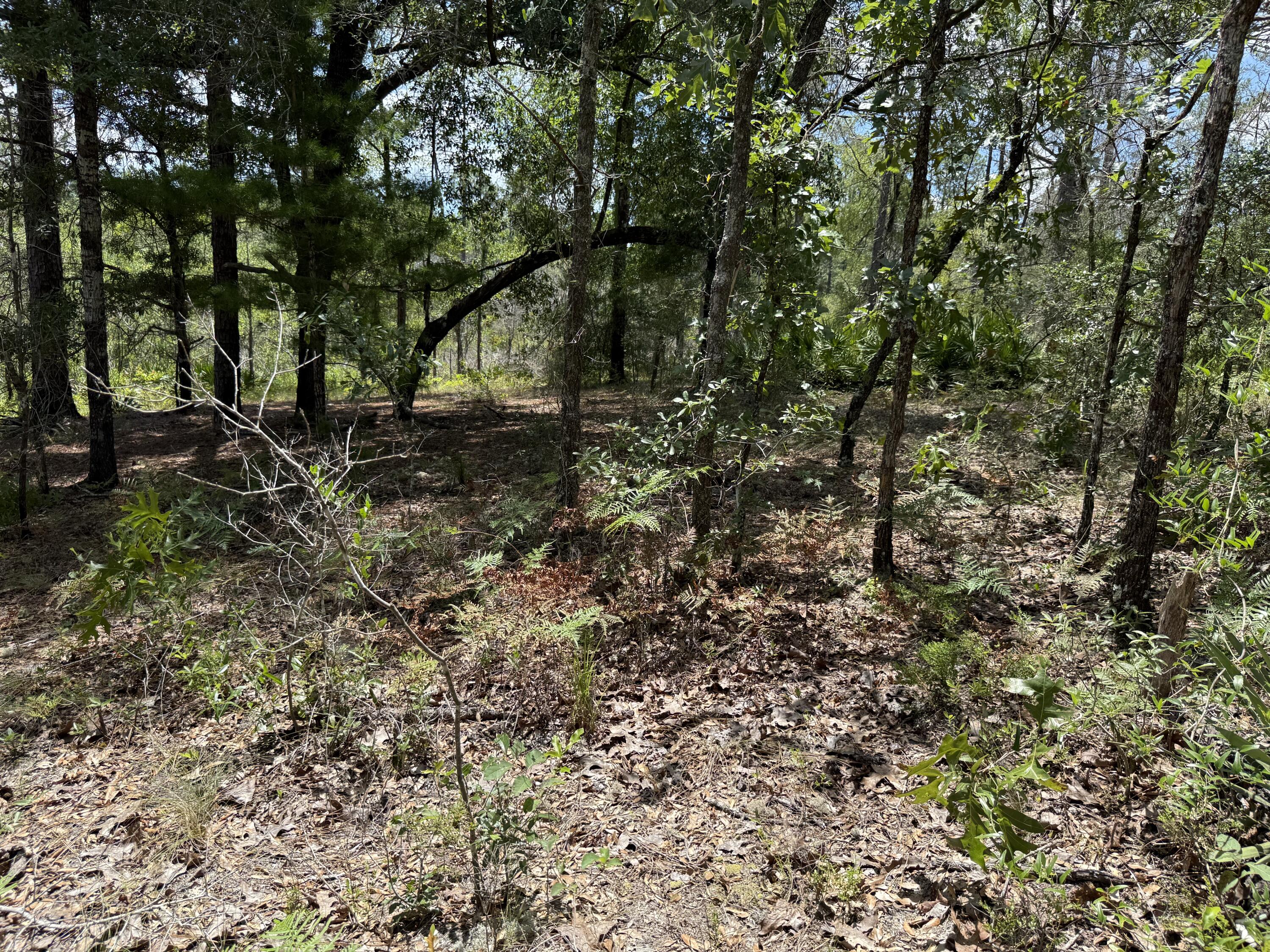Lot 39 BLk 68 on Clearwater, DeFuniak Springs
