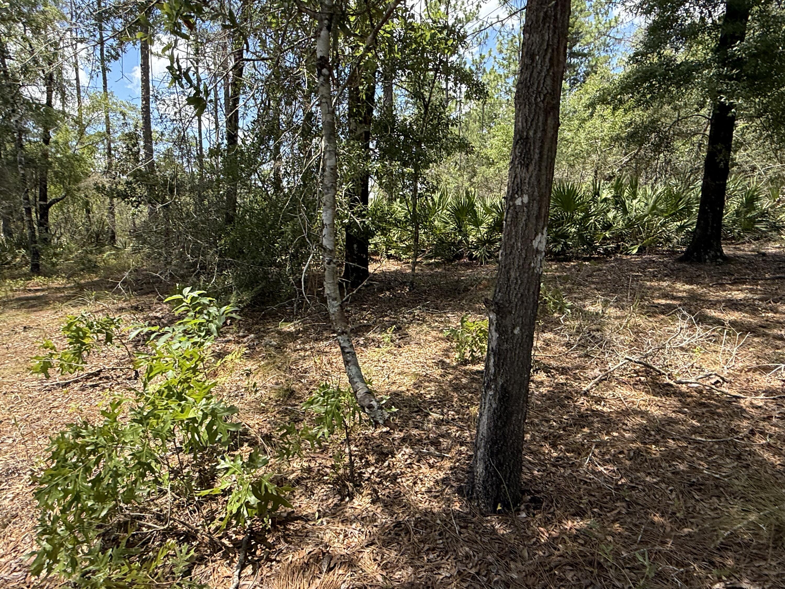 Lot 39 BLk 68 on Clearwater, DeFuniak Springs