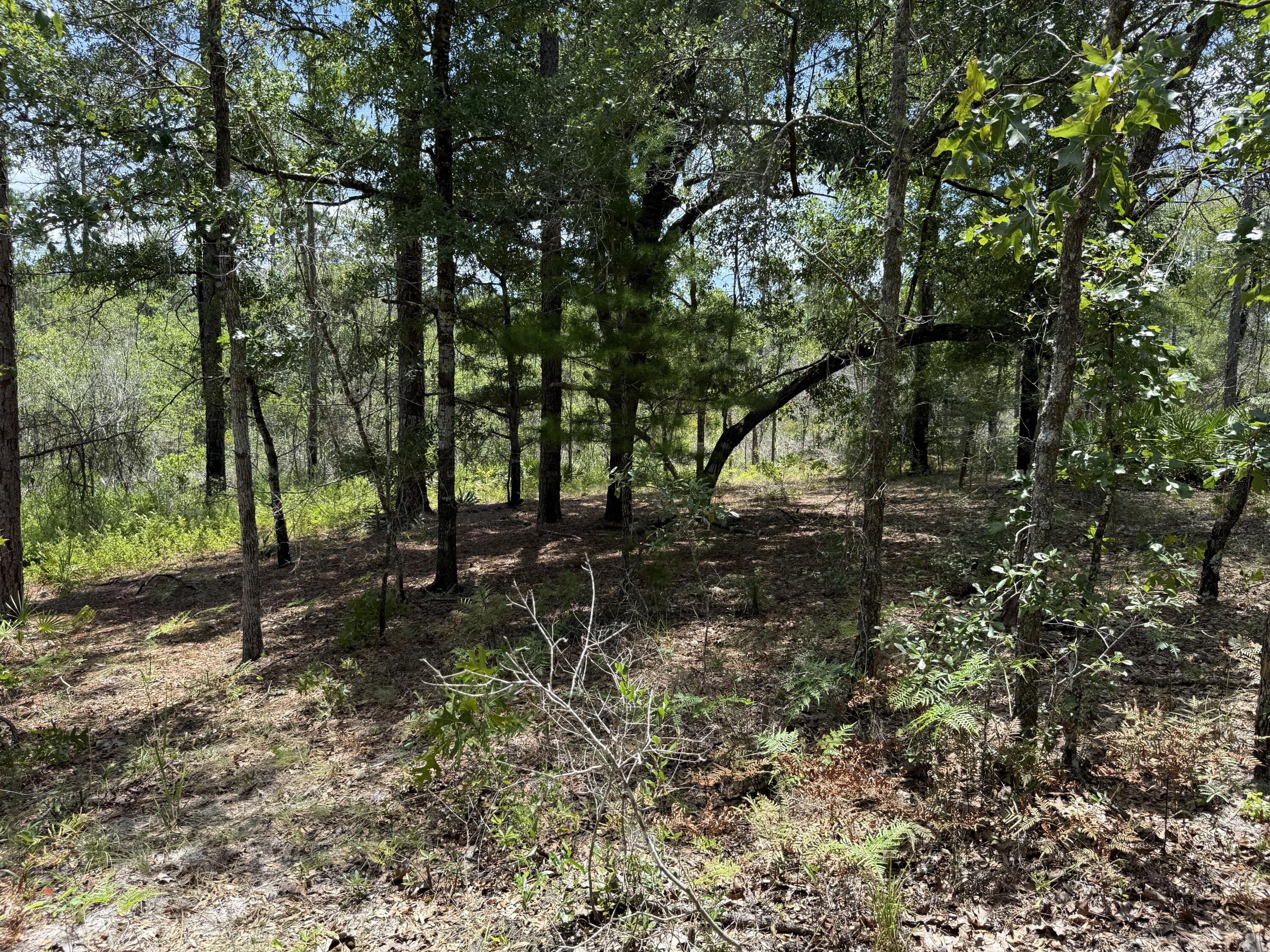 Lot 39 BLk 68 on Clearwater, DeFuniak Springs