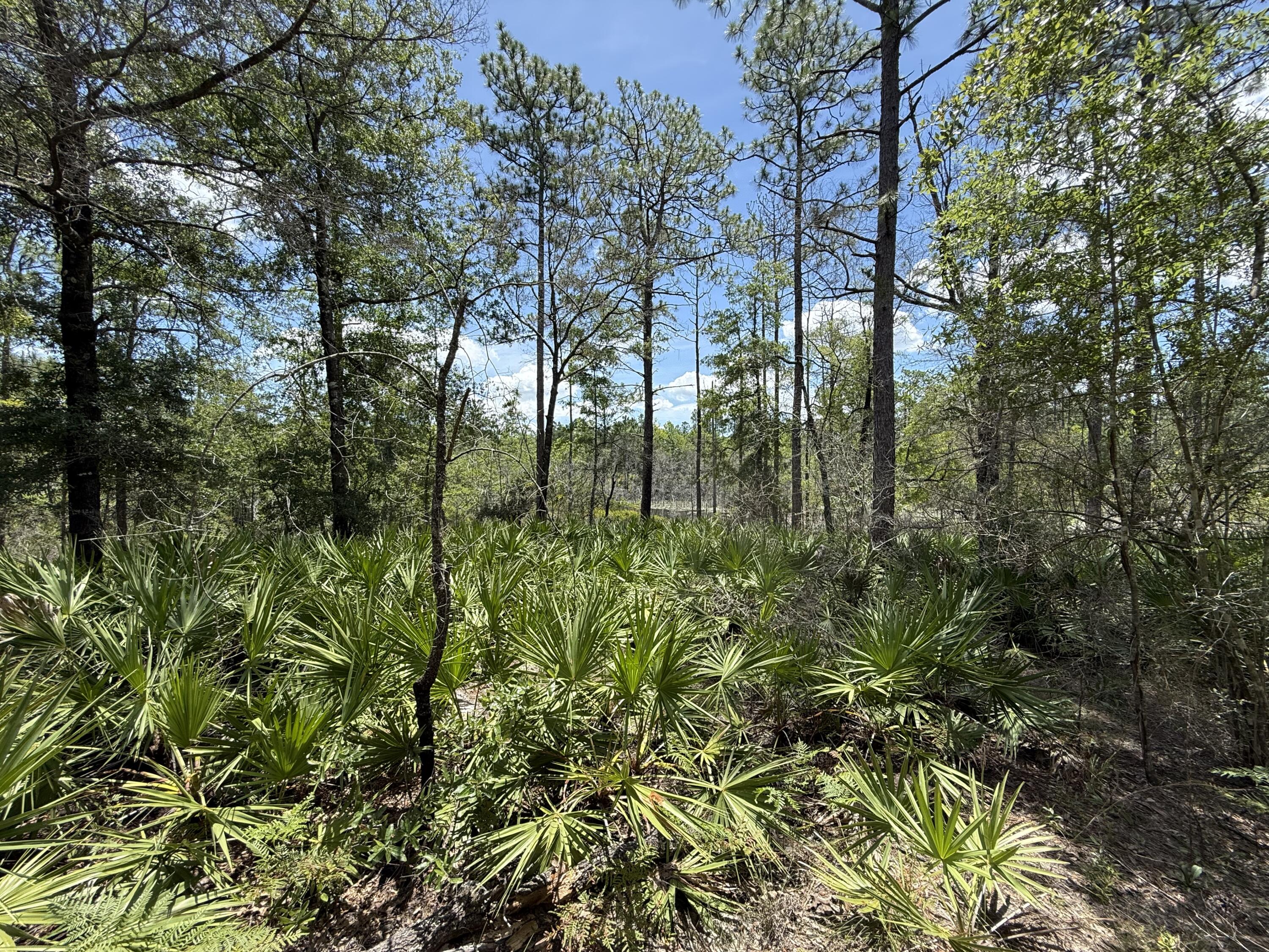 Lot 39 BLk 68 on Clearwater, DeFuniak Springs