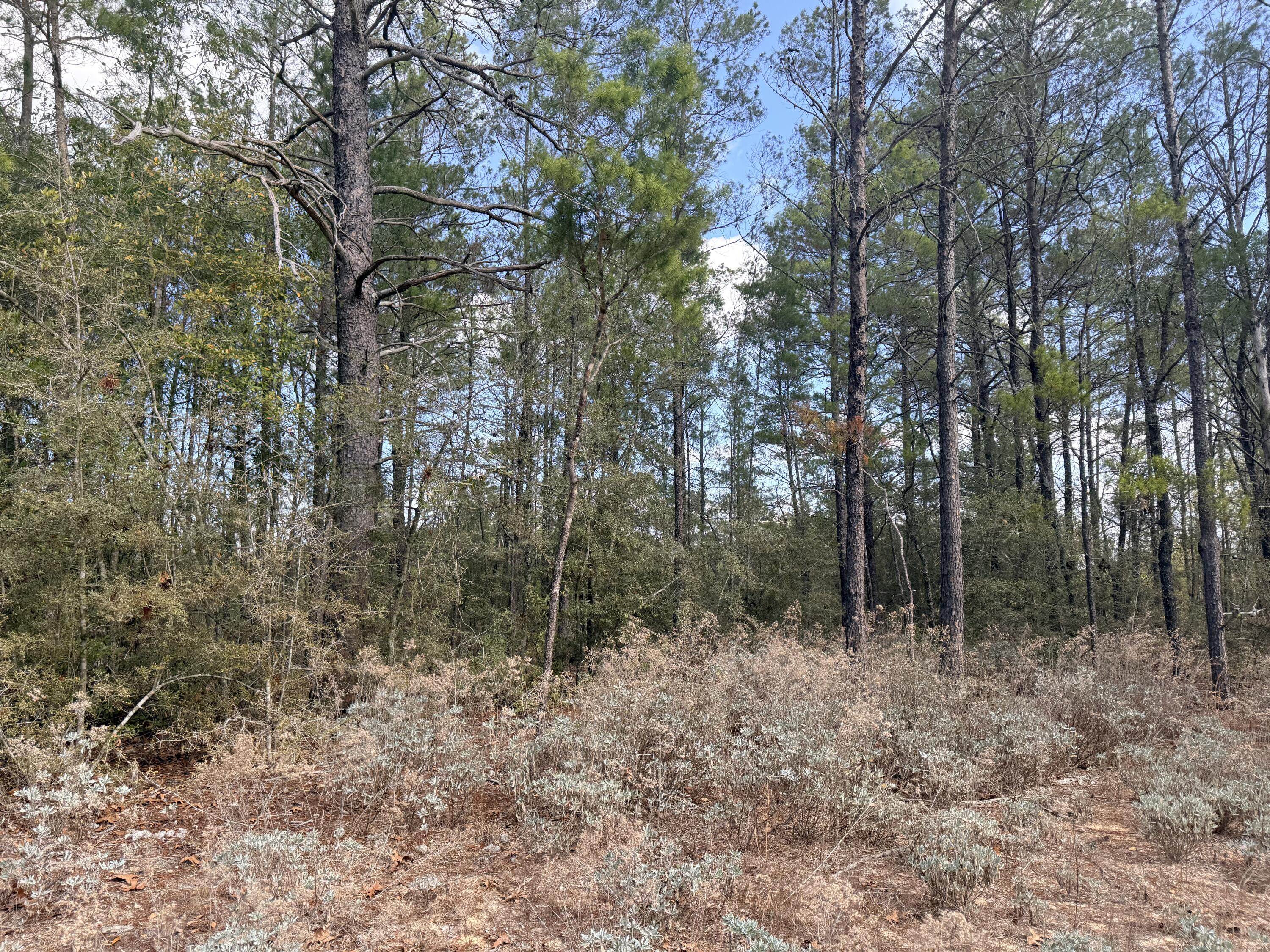 Lot 2 Blk 8 on E Violet Lane, DeFuniak Springs