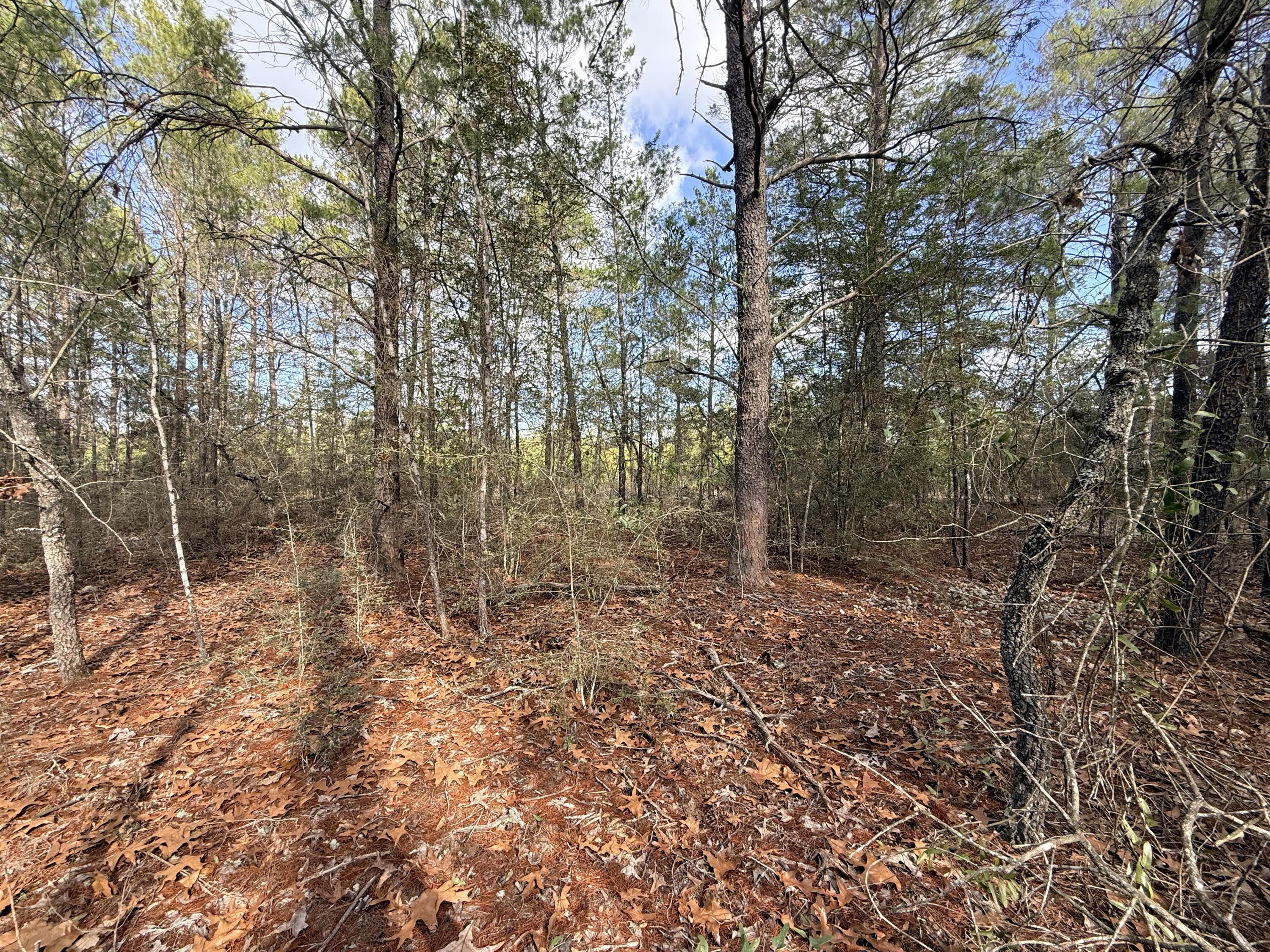 Lot 2 Blk 8 on E Violet Lane, DeFuniak Springs