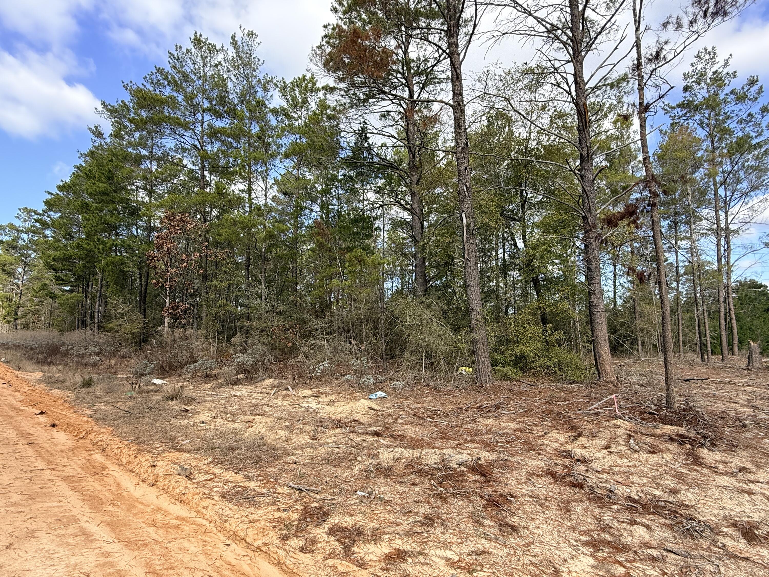 Lot 2 Blk 8 on E Violet Lane, DeFuniak Springs