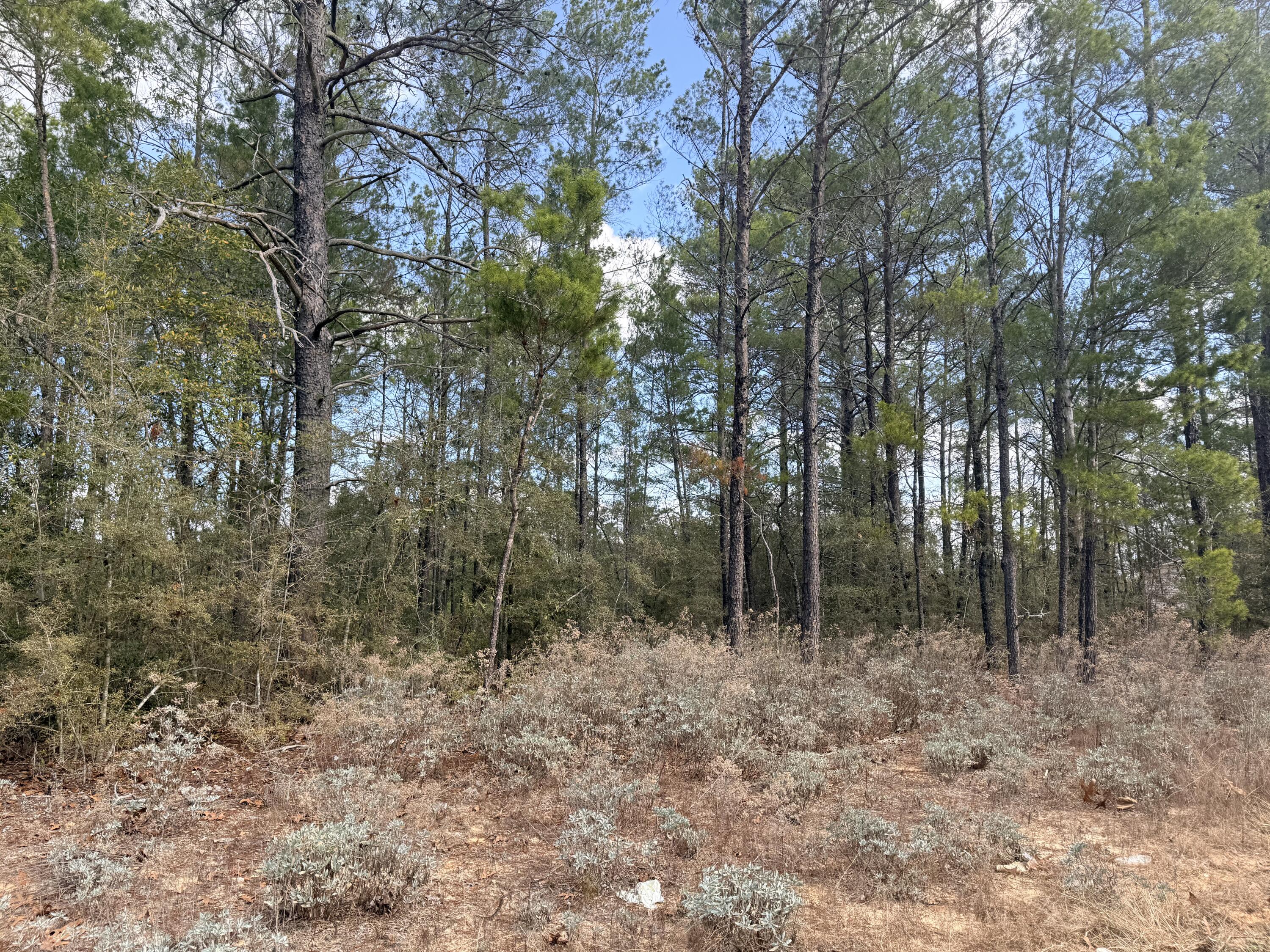 Lot 2 Blk 8 on E Violet Lane, DeFuniak Springs