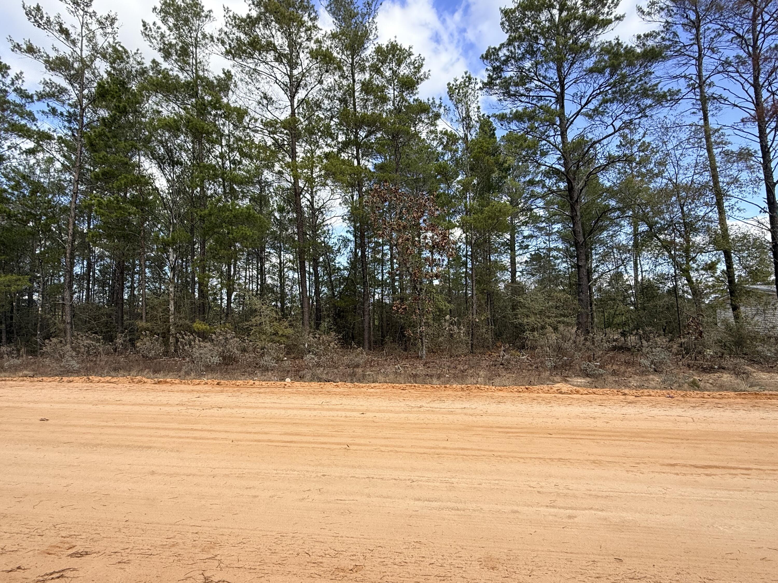 Lot 2 Blk 8 on E Violet Lane, DeFuniak Springs