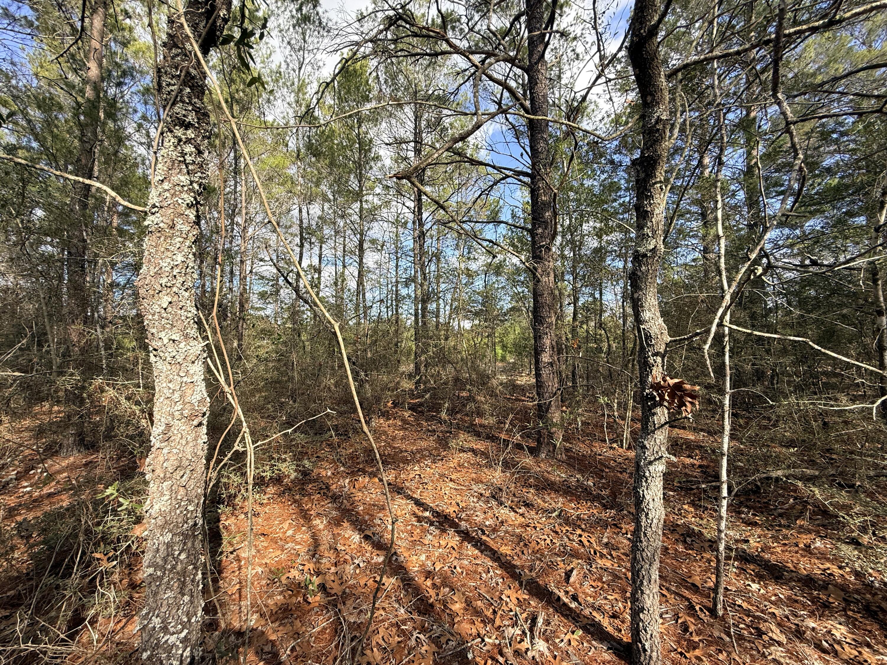 Lot 2 Blk 8 on E Violet Lane, DeFuniak Springs