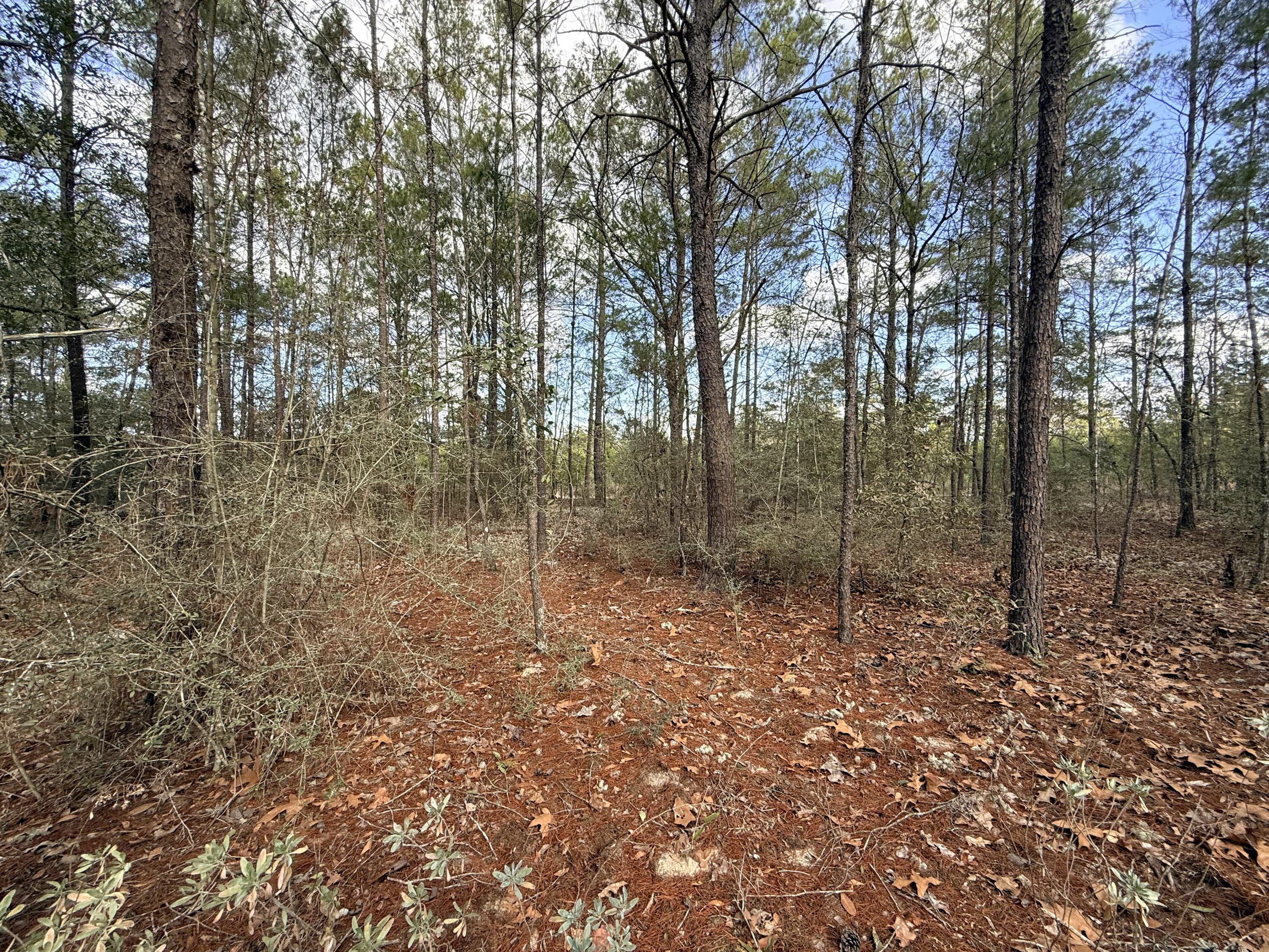 Lot 2 Blk 8 on E Violet Lane, DeFuniak Springs