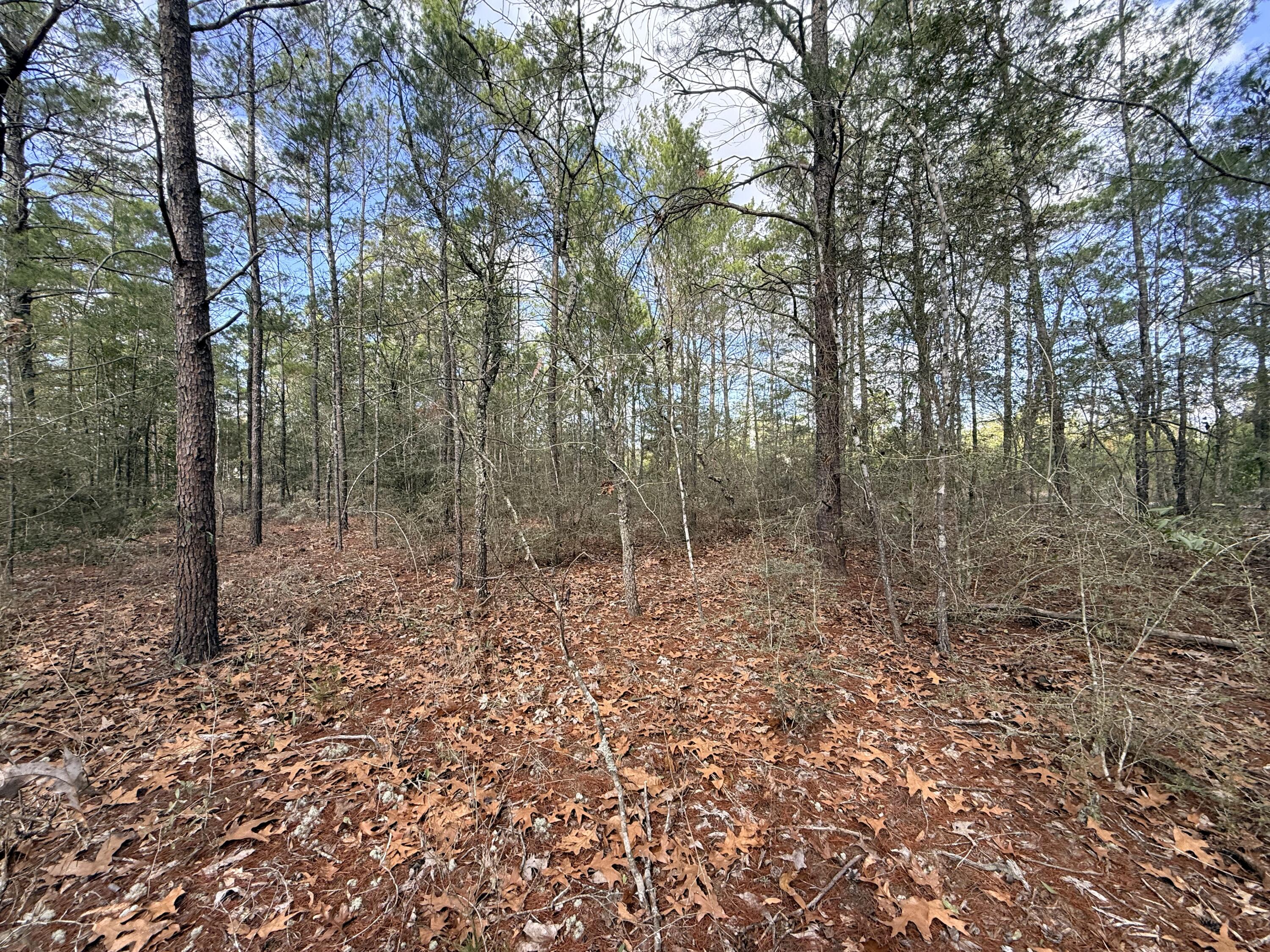 Lot 2 Blk 8 on E Violet Lane, DeFuniak Springs