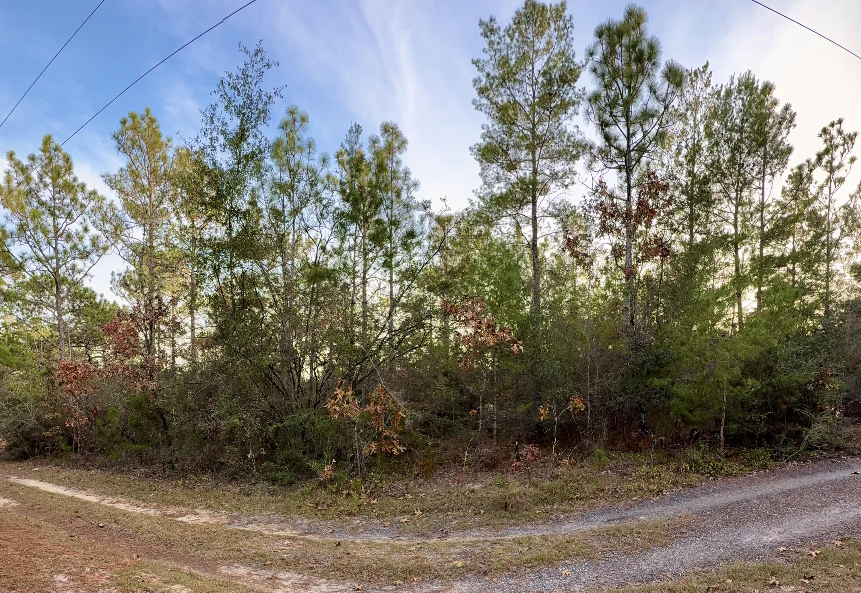 Lots 9-11 Tangerine & Lot 2 Girl Scout, DeFuniak Springs