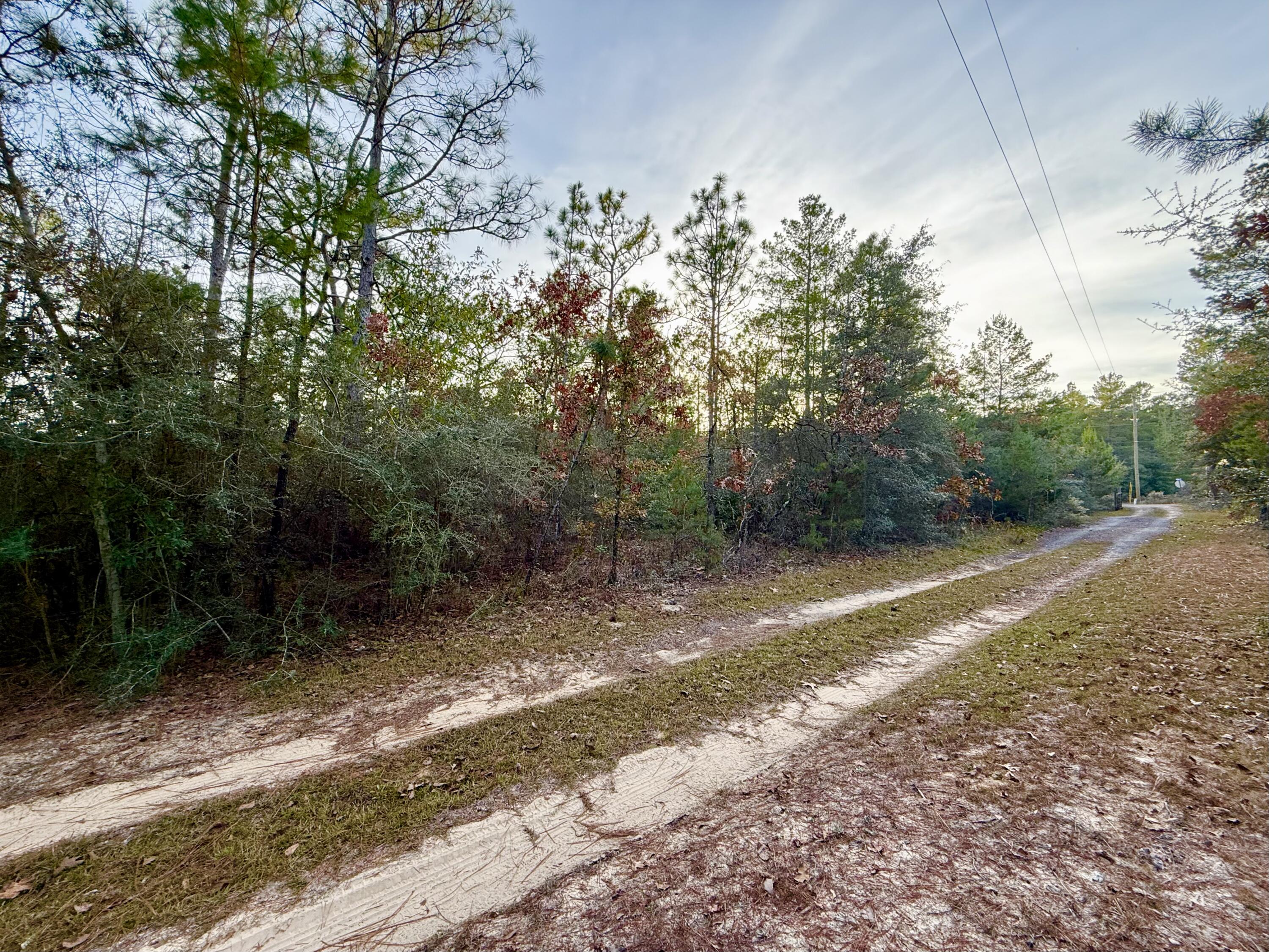Lots 9-11 Tangerine & Lot 2 Girl Scout, DeFuniak Springs