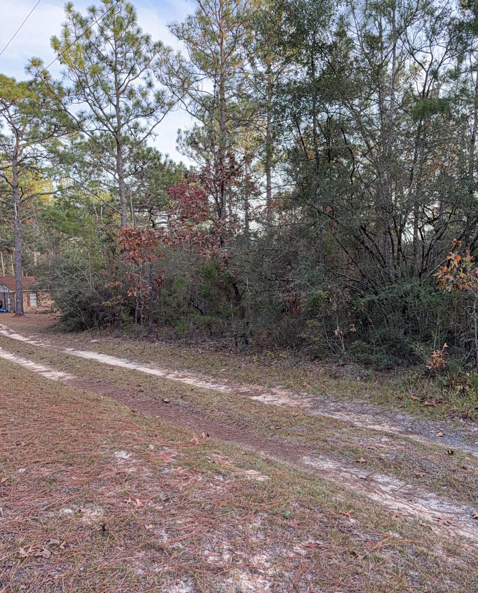 Lots 9-11 Tangerine & Lot 2 Girl Scout, DeFuniak Springs