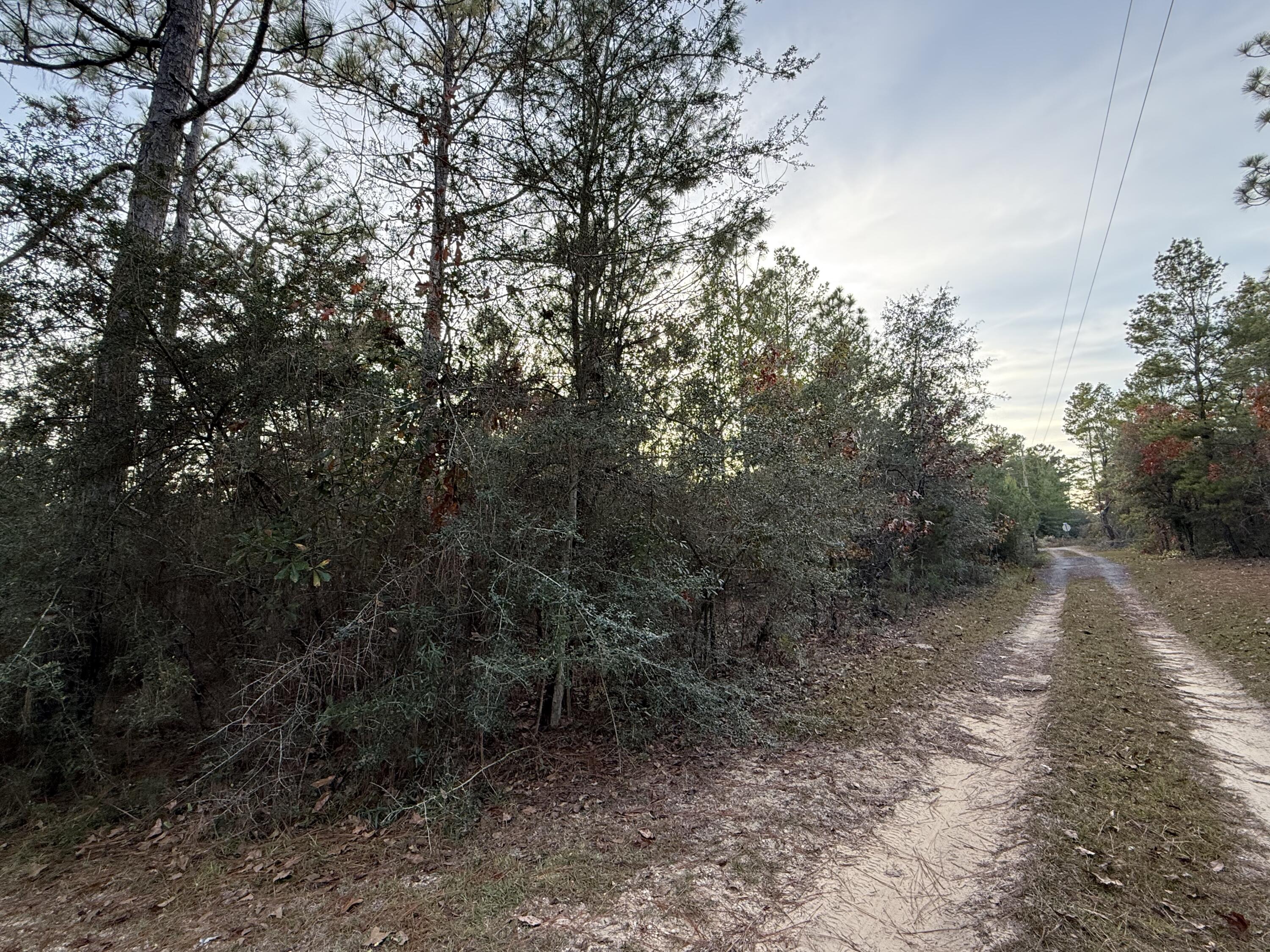 Lots 9-11 Tangerine & Lot 2 Girl Scout, DeFuniak Springs