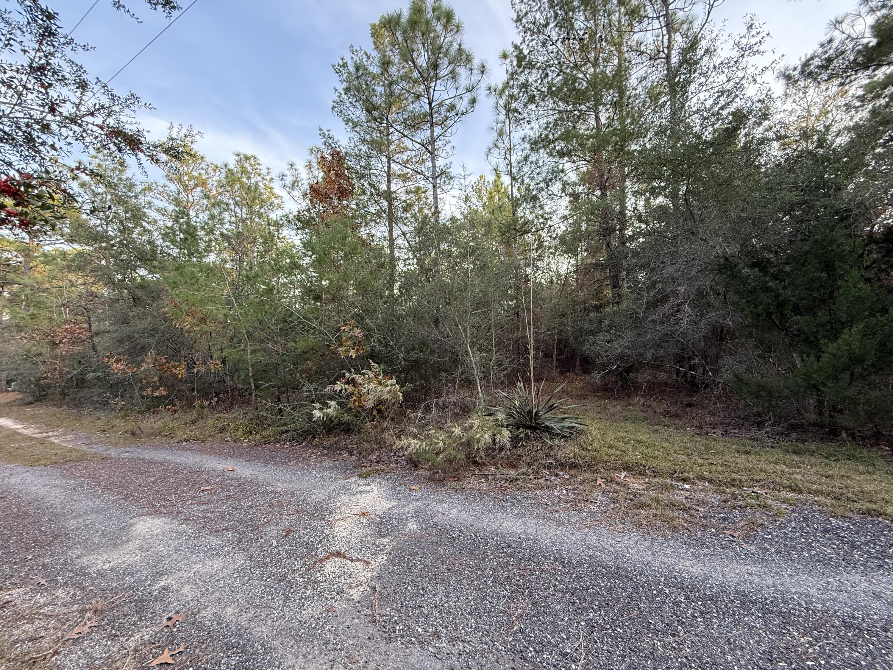 Lots 9-11 Tangerine & Lot 2 Girl Scout, DeFuniak Springs