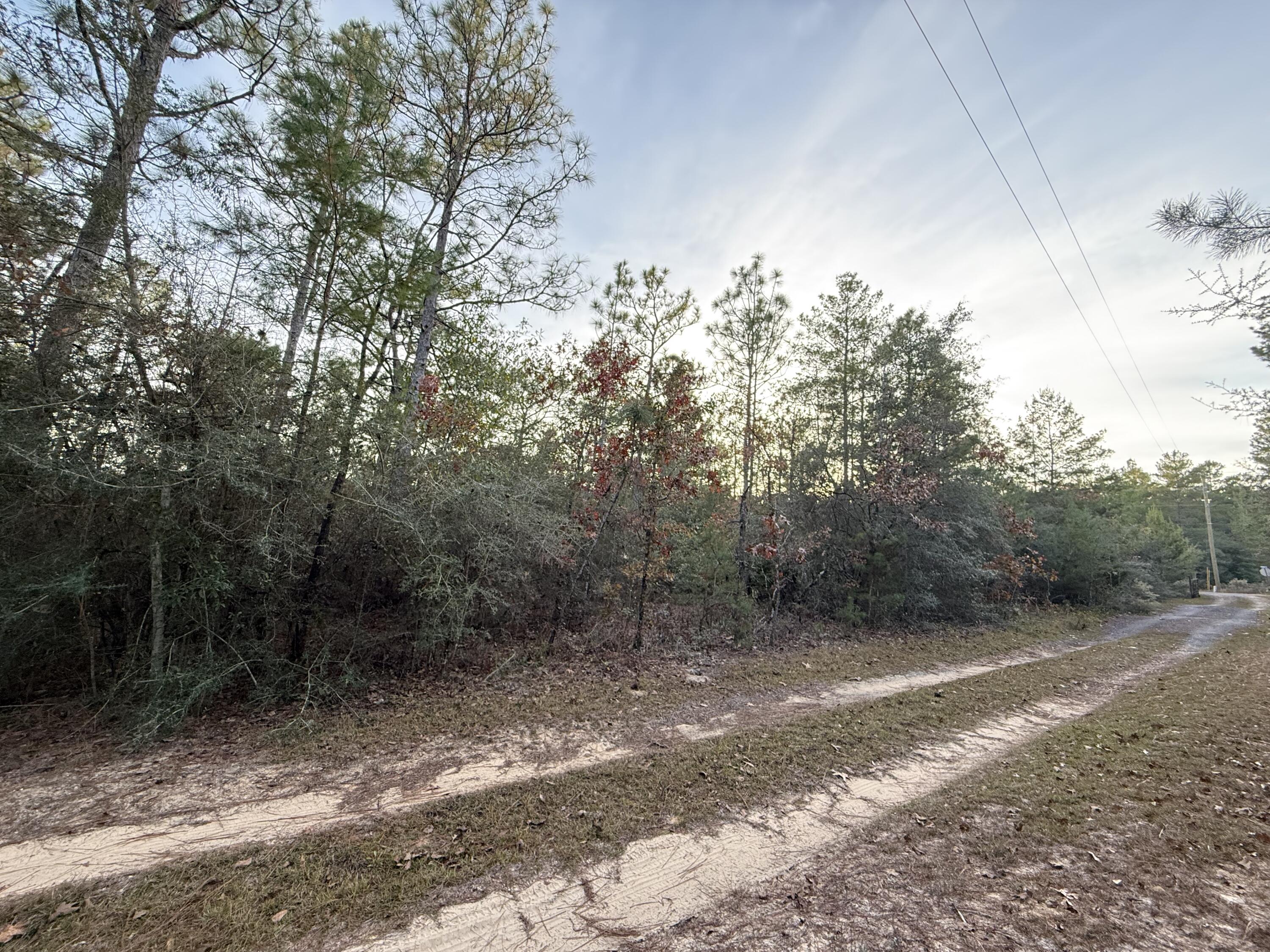Lots 9-11 Tangerine & Lot 2 Girl Scout, DeFuniak Springs