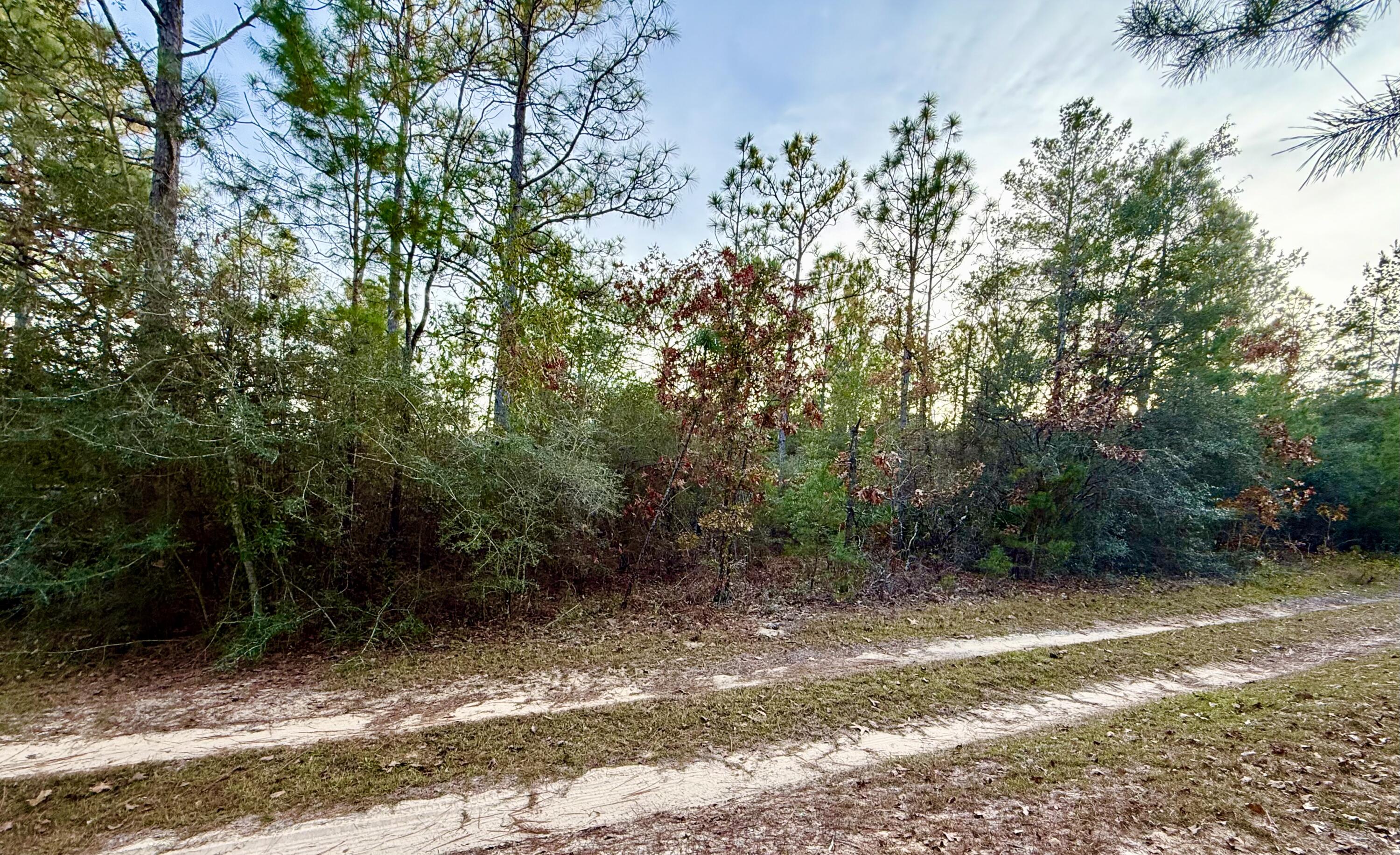 Lots 9-11 Tangerine & Lot 2 Girl Scout, DeFuniak Springs