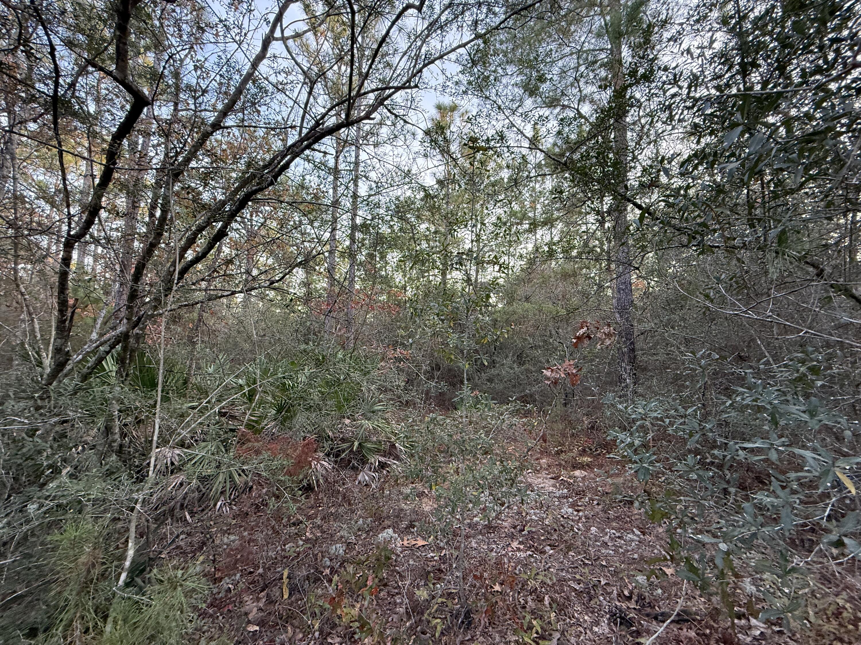 Lots 9-11 Tangerine & Lot 2 Girl Scout, DeFuniak Springs