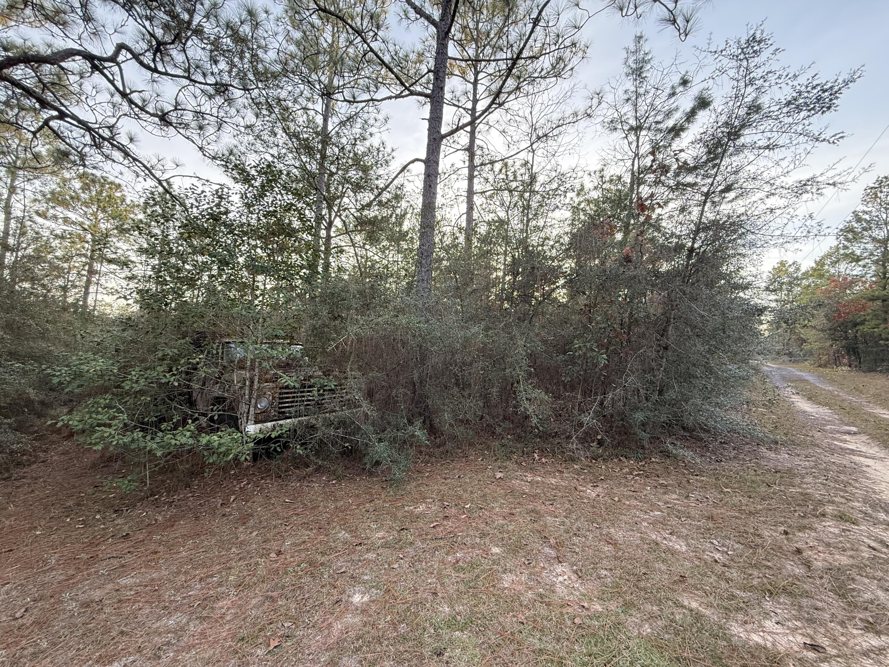 Lots 9-11 Tangerine & Lot 2 Girl Scout, DeFuniak Springs
