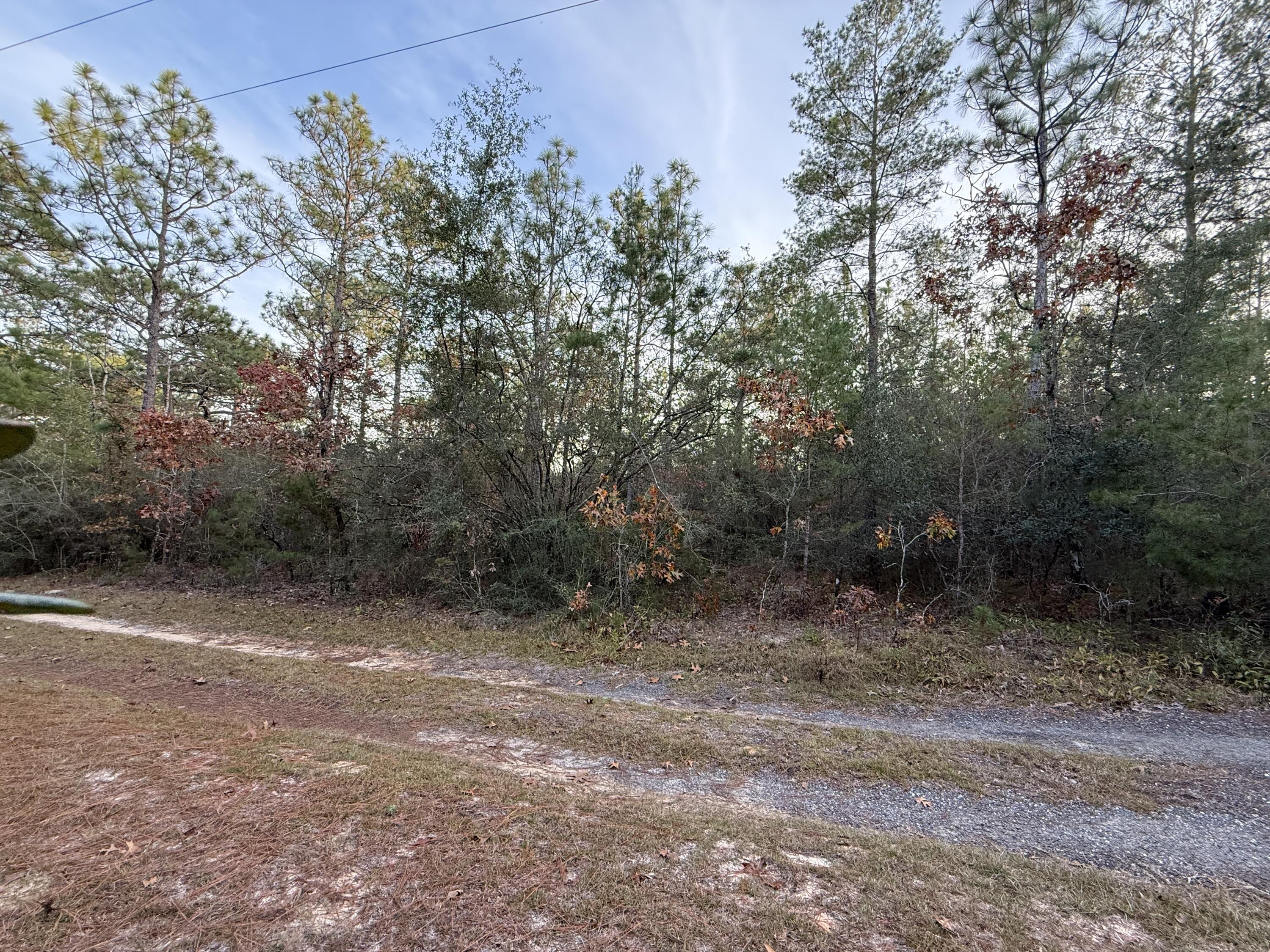 Lots 9-11 Tangerine & Lot 2 Girl Scout, DeFuniak Springs