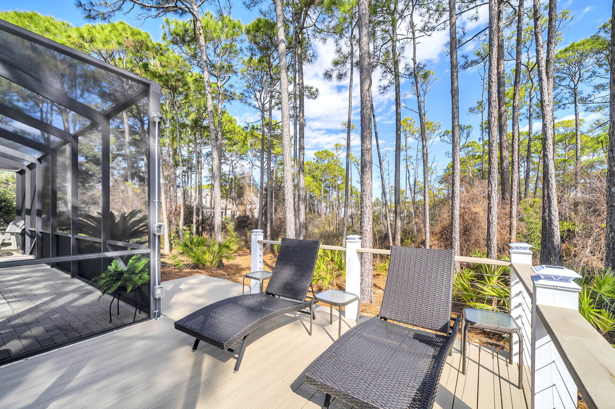 381 Grassy Cove