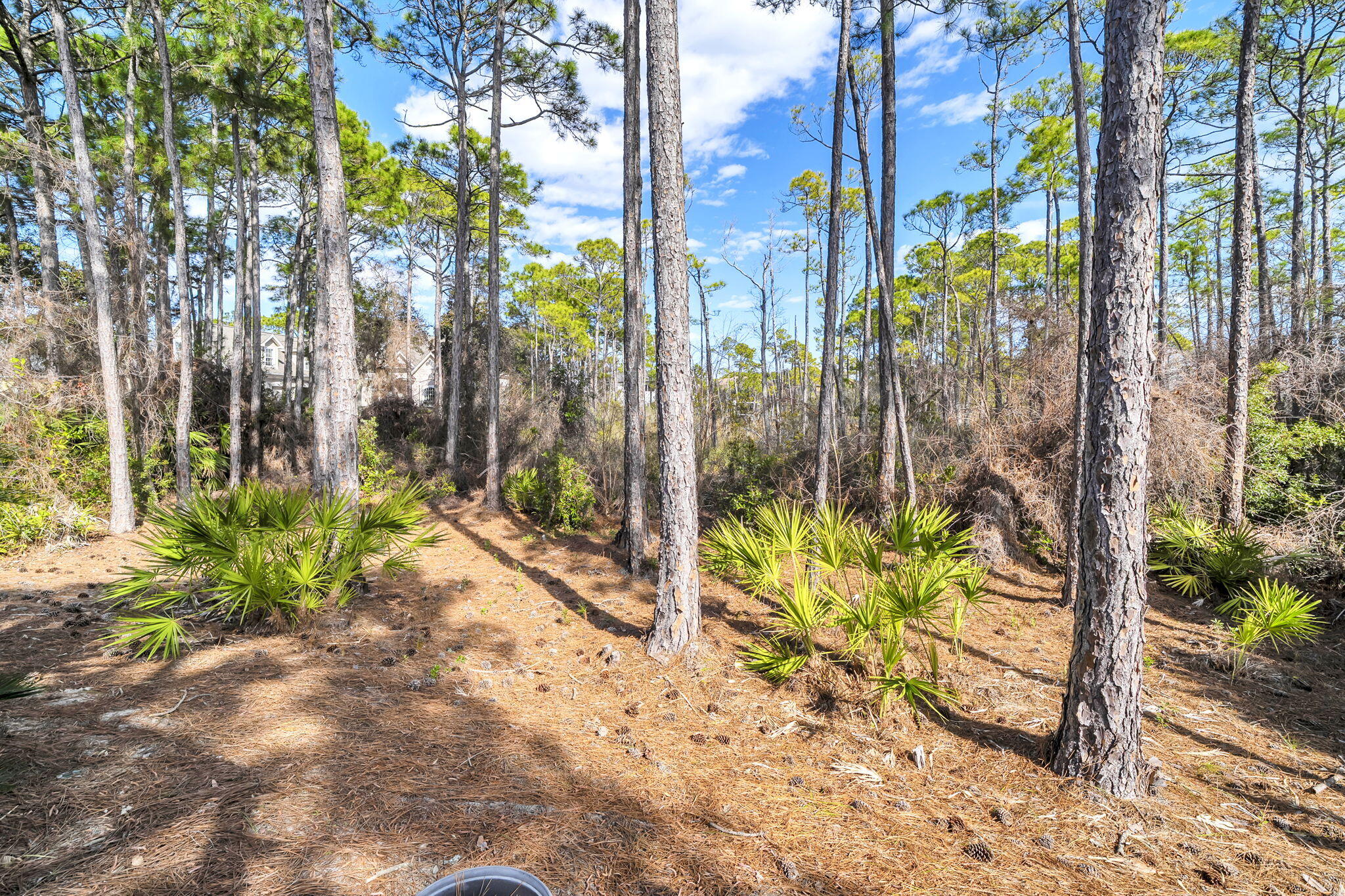381 Grassy Cove