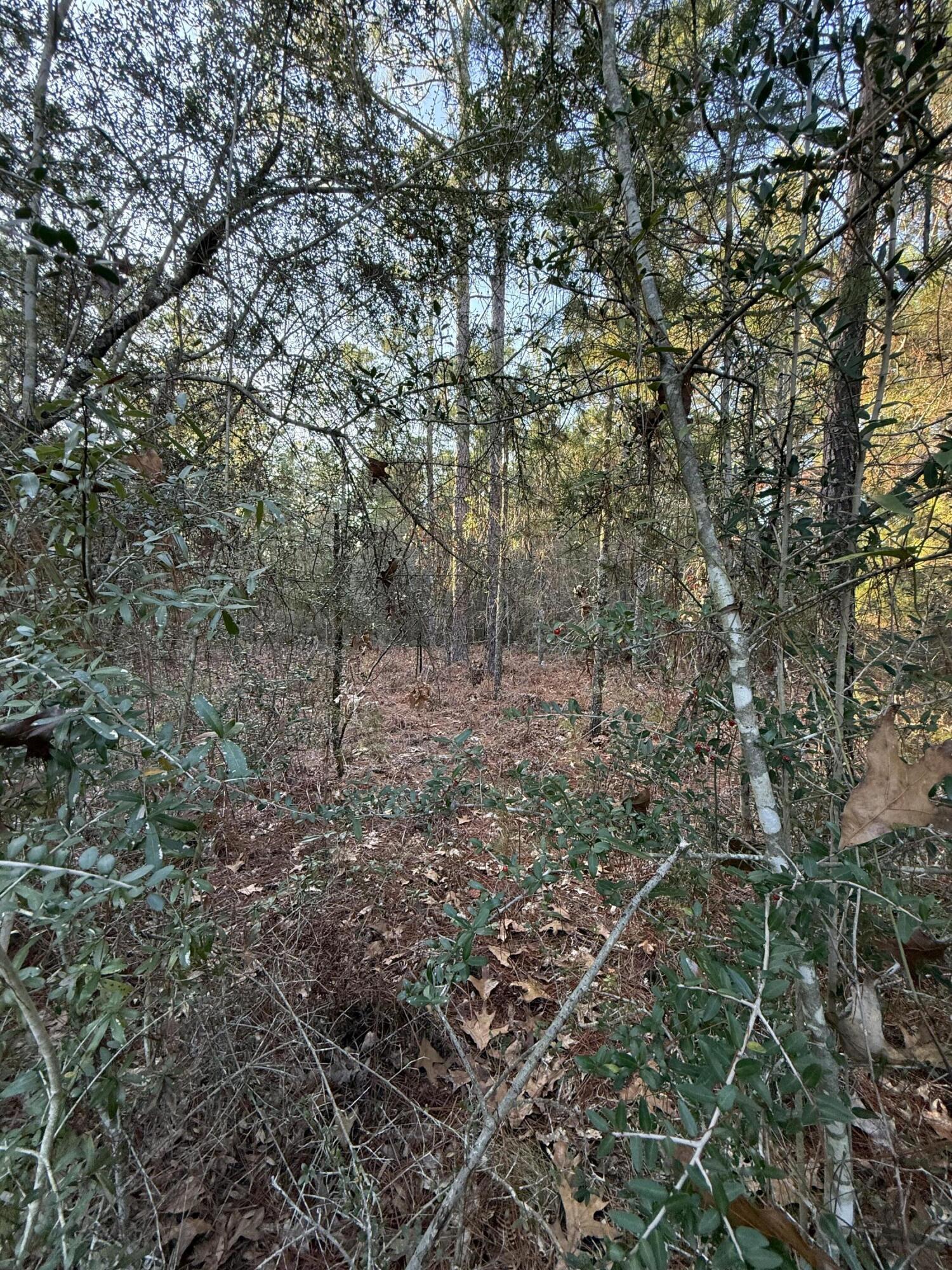 Lot 5 Blk 54 on Forest Lane, DeFuniak Springs