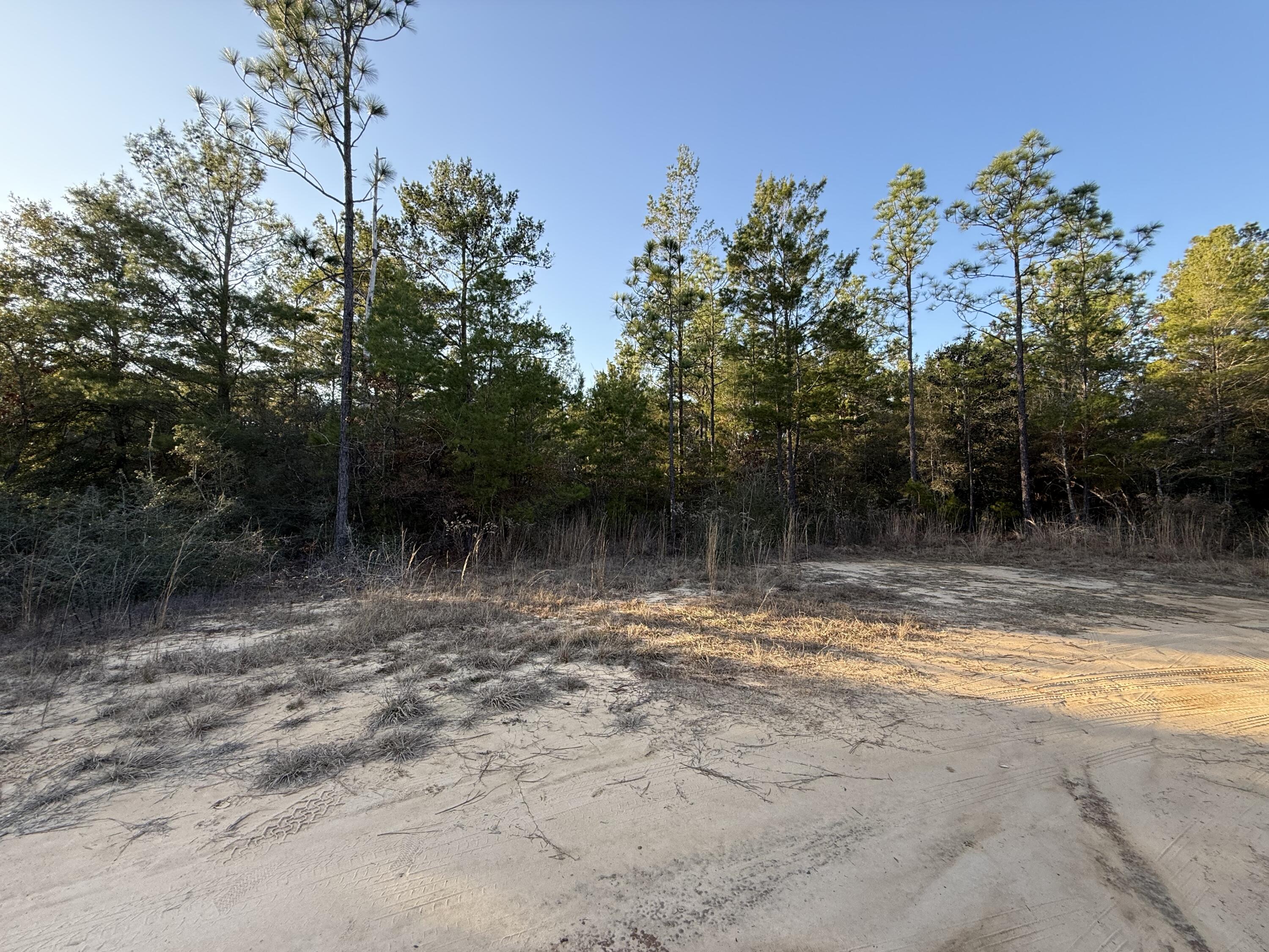Lot 5 Blk 54 on Forest Lane, DeFuniak Springs