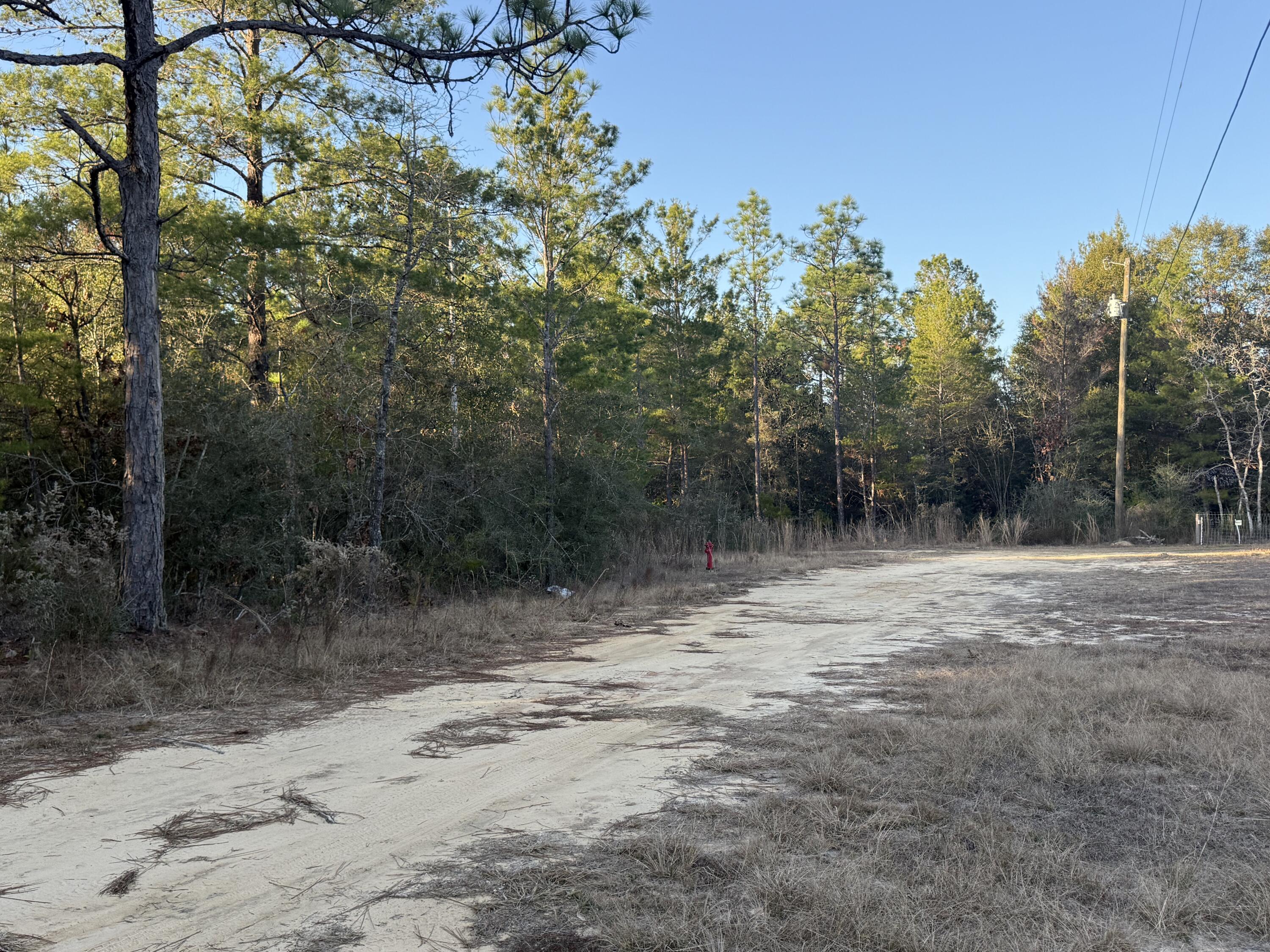 Lot 5 Blk 54 on Forest Lane, DeFuniak Springs