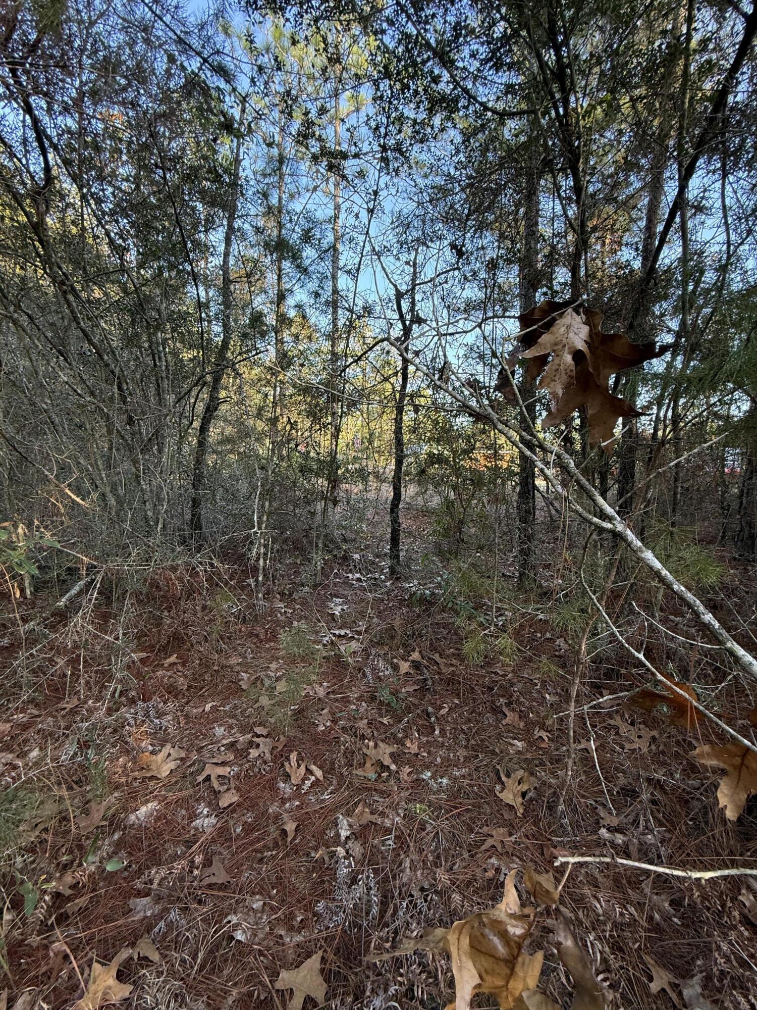 Lot 5 Blk 54 on Forest Lane, DeFuniak Springs