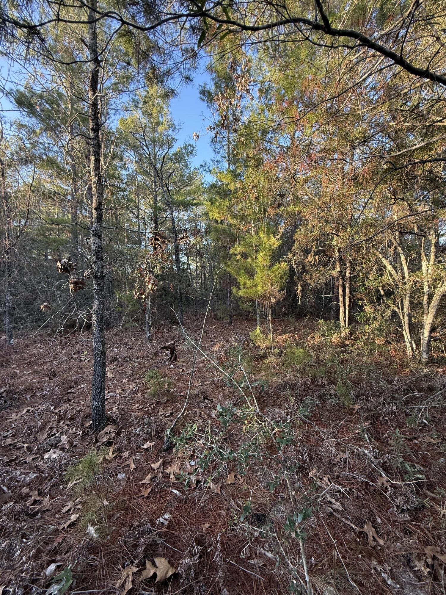Lot 5 Blk 54 on Forest Lane, DeFuniak Springs