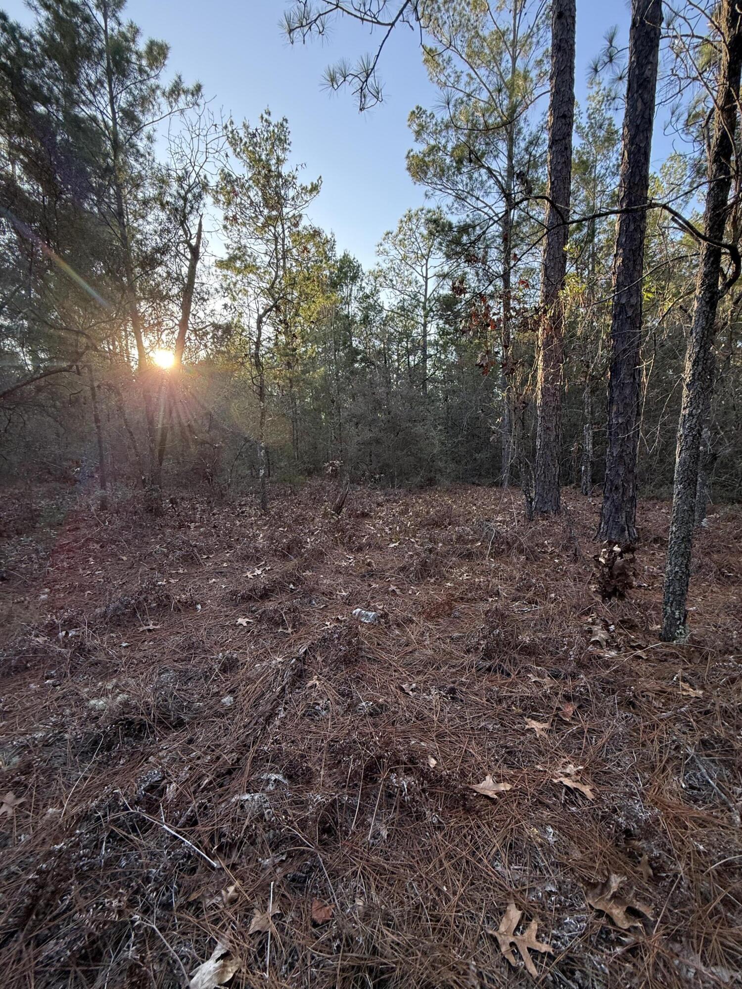 Lot 5 Blk 54 on Forest Lane, DeFuniak Springs