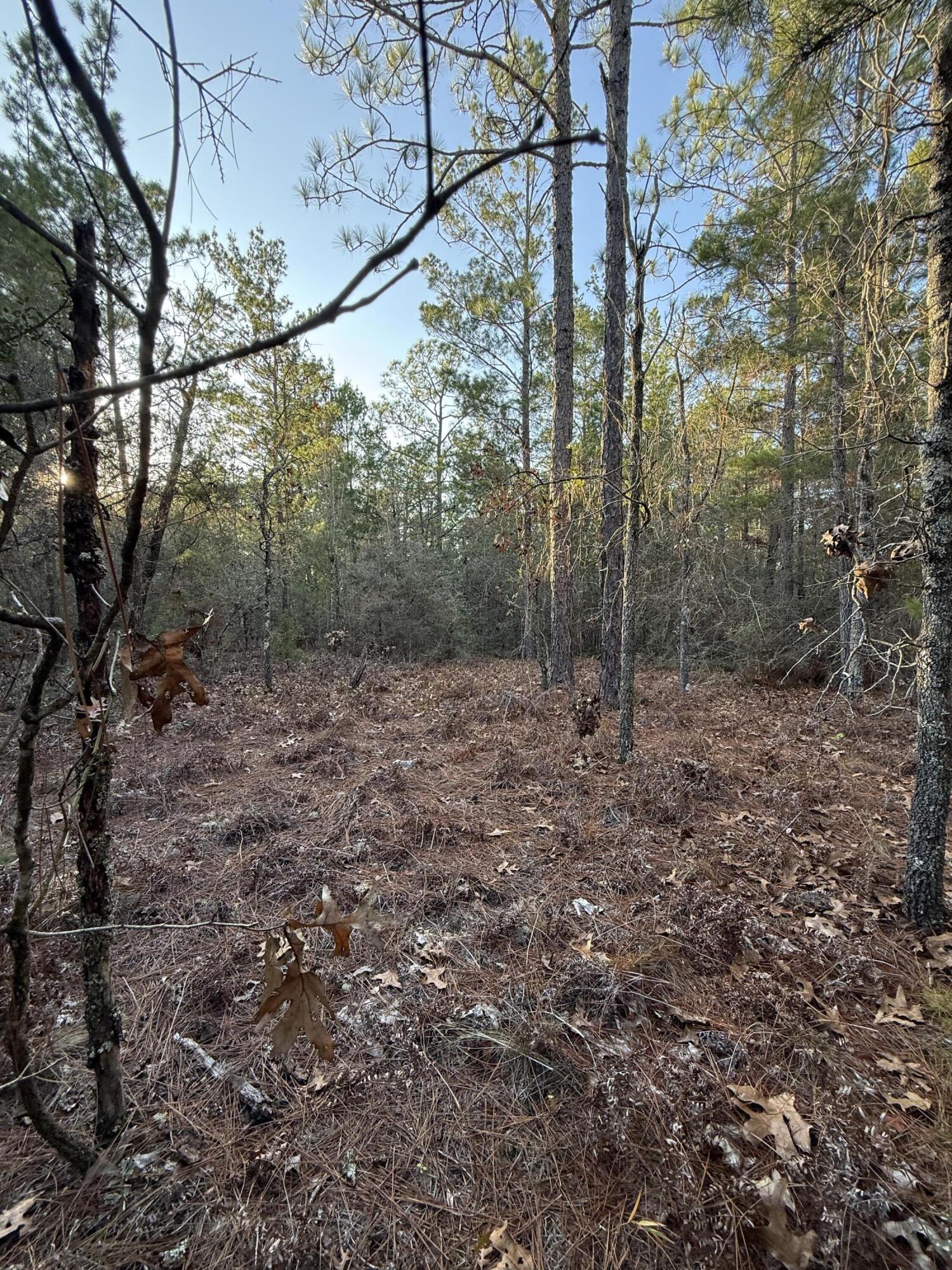 Lot 5 Blk 54 on Forest Lane, DeFuniak Springs