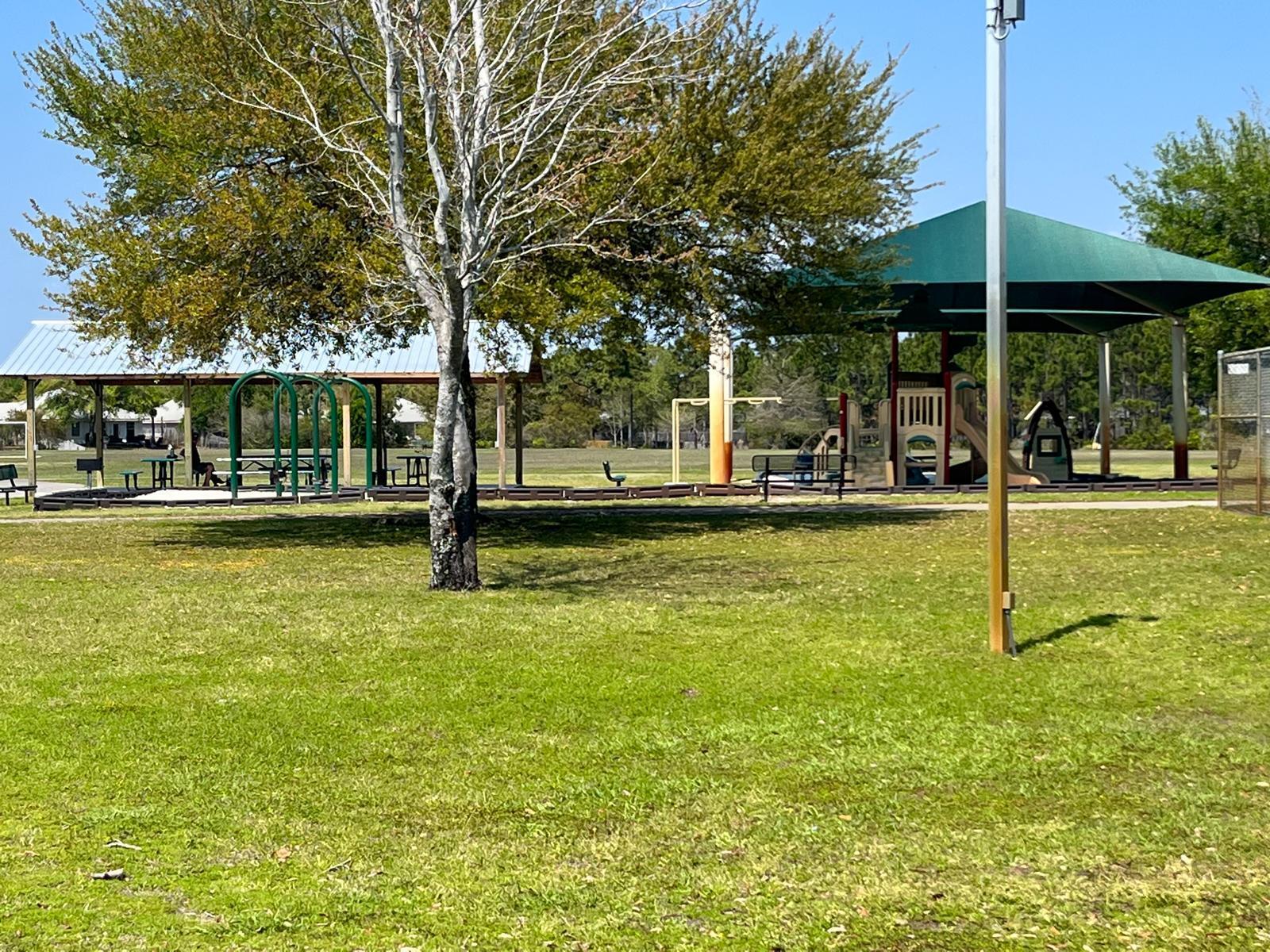 864 Cocobolo Dr