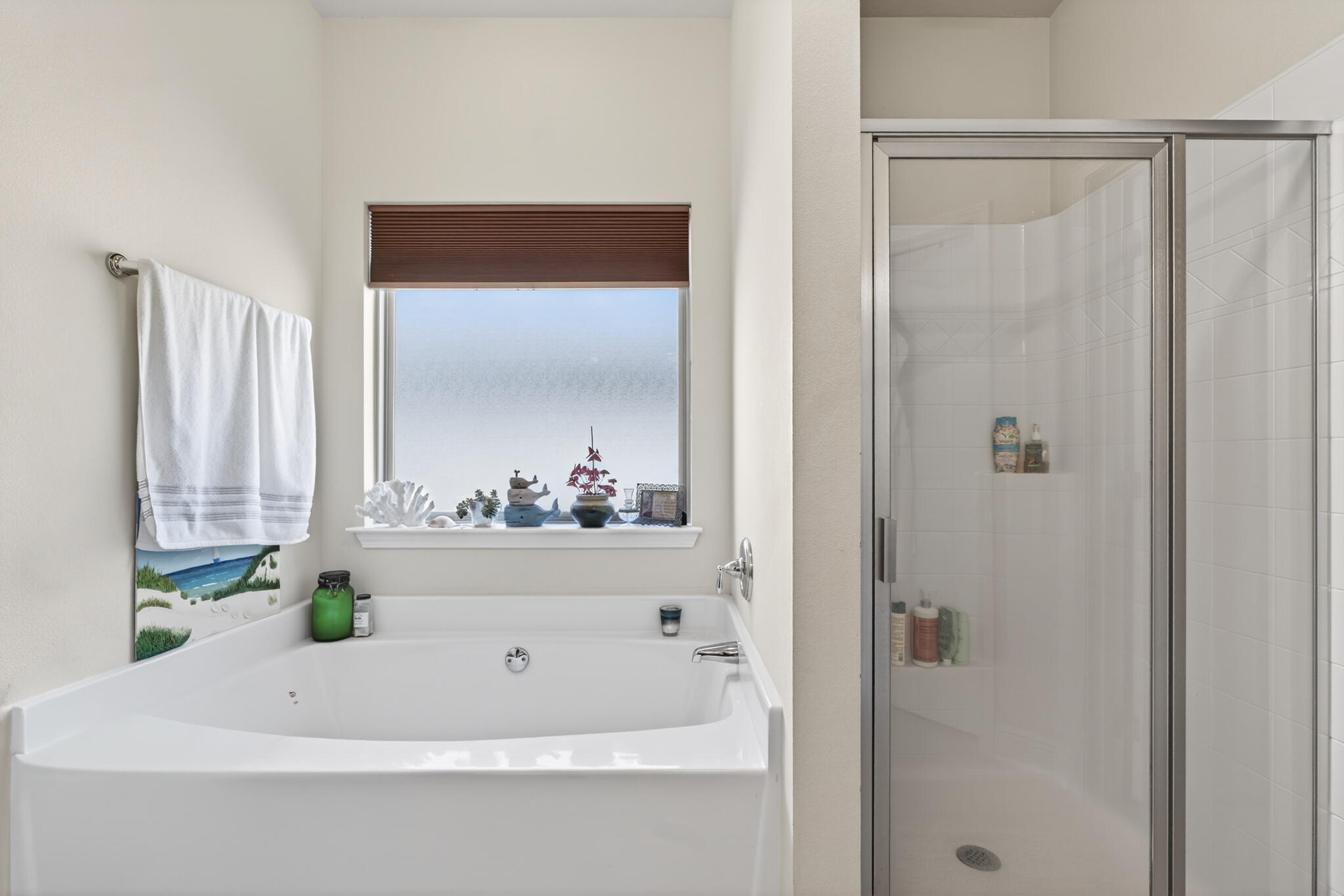 864 Cocobolo Dr