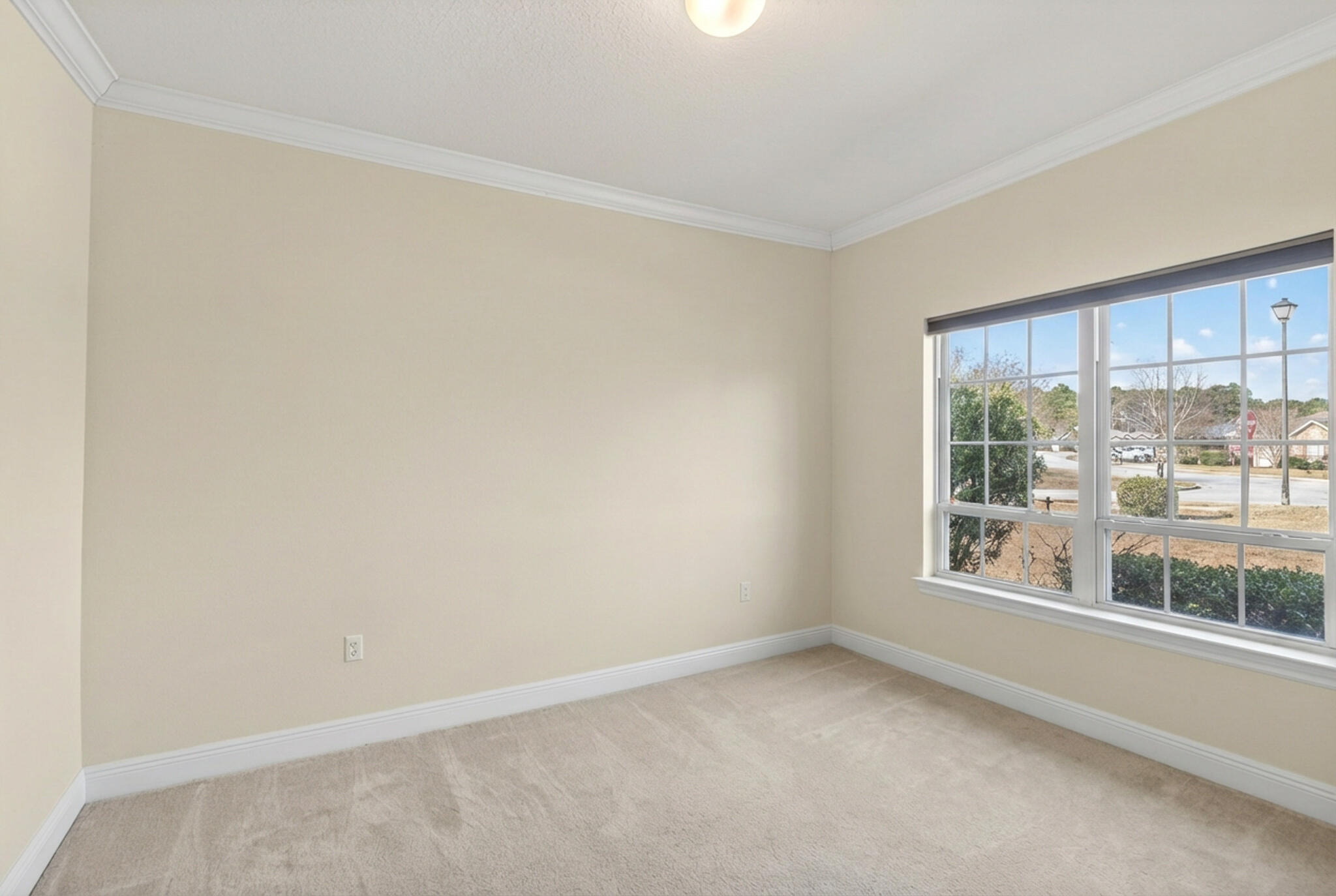 864 Cocobolo Dr