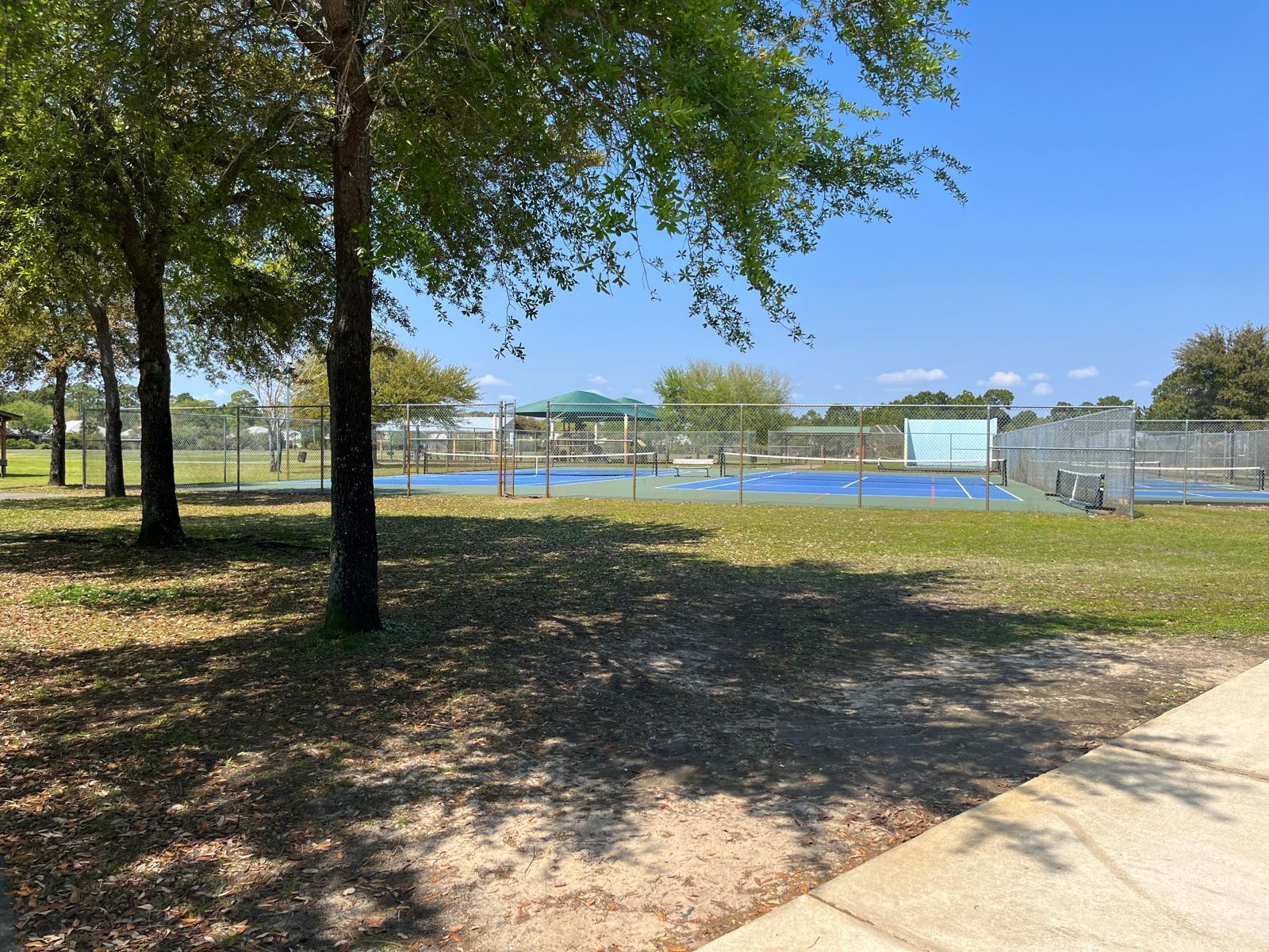 864 Cocobolo Dr