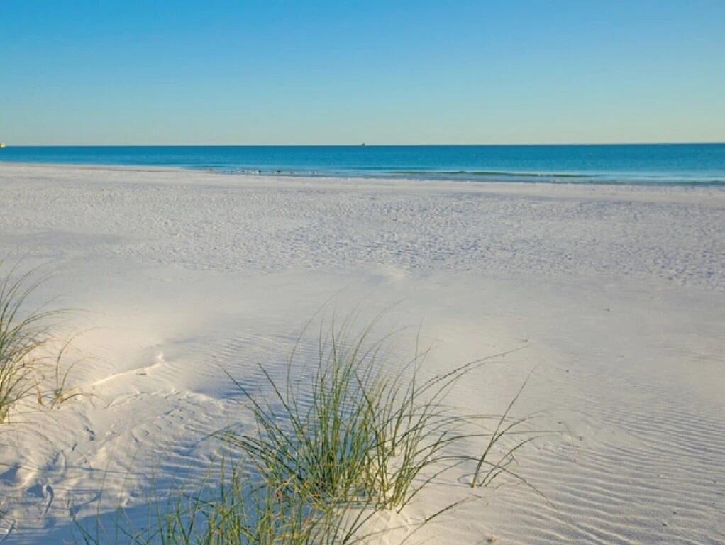 2440 Scenic Gulf Drive UNIT 204