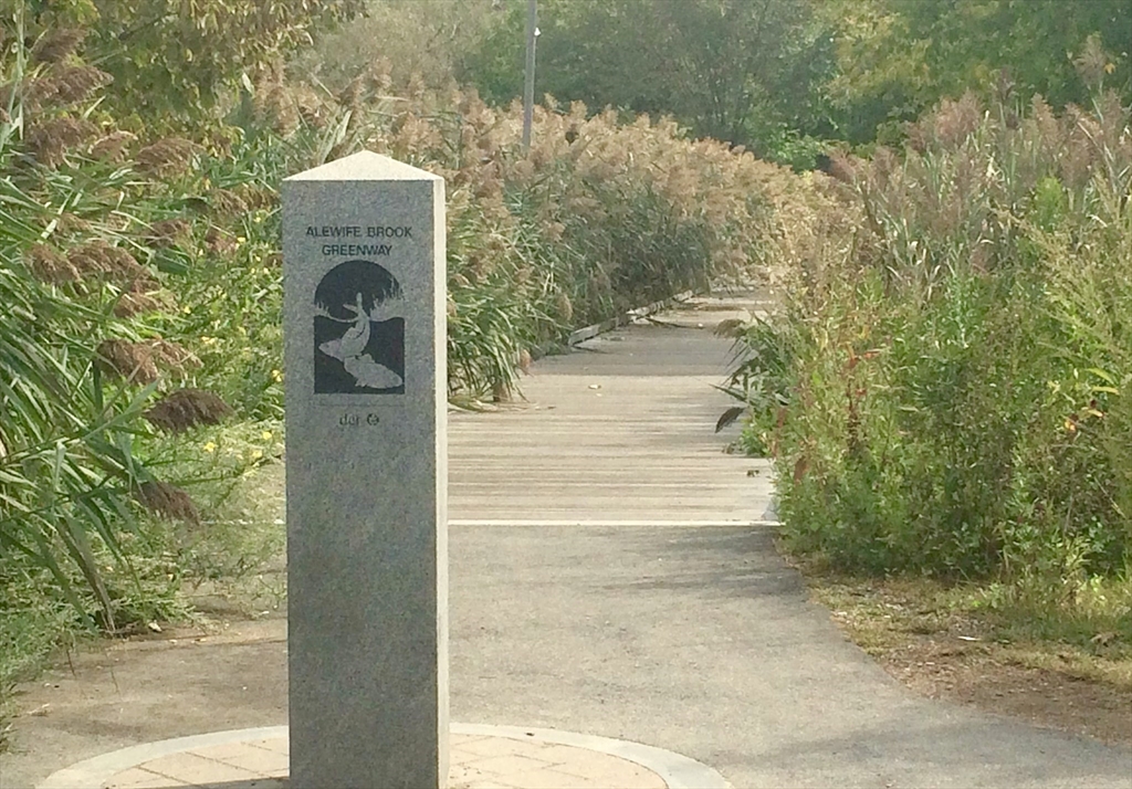 86 Fairmont Street # 1