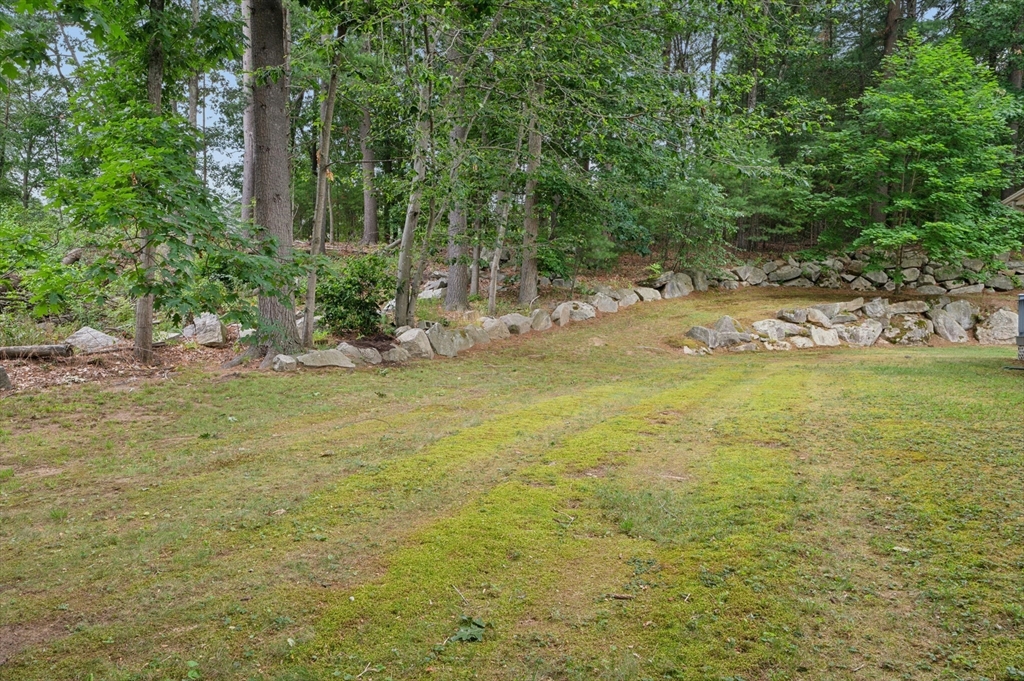46 Middlesex Rd