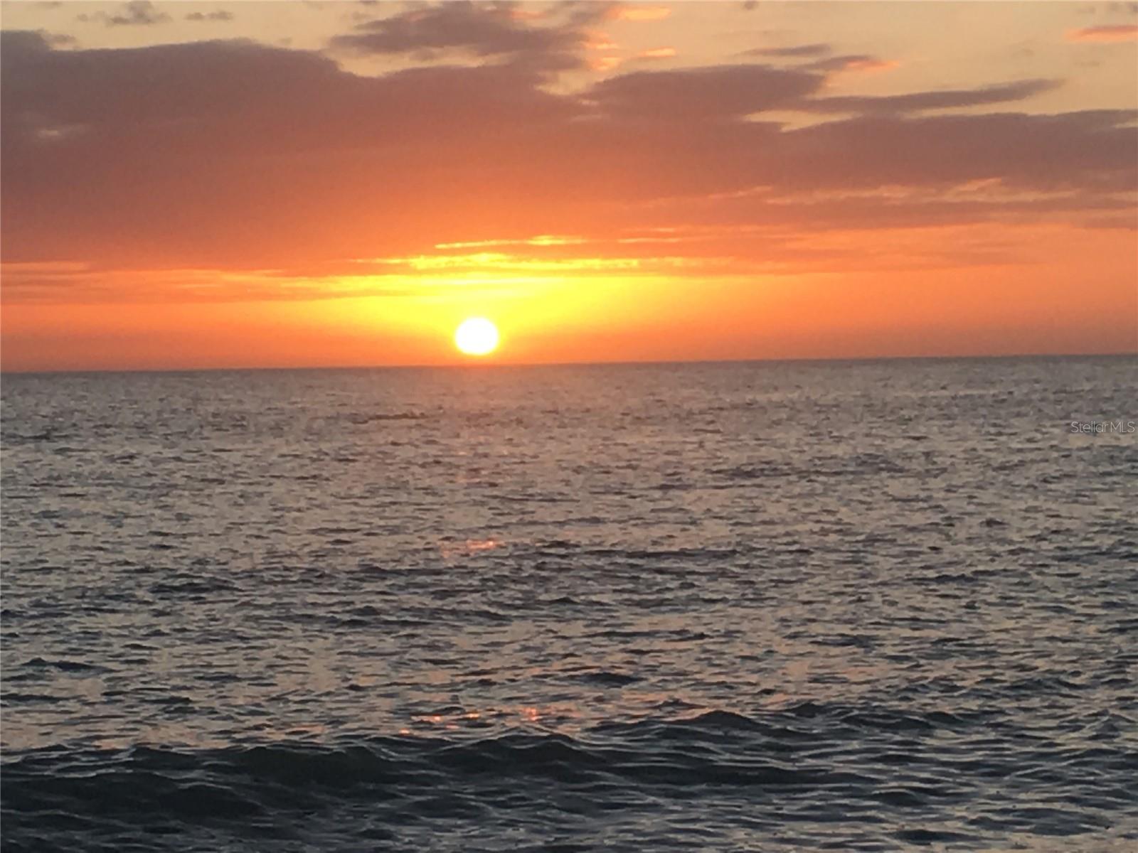 5655 GULF OF MEXICO DR #D107