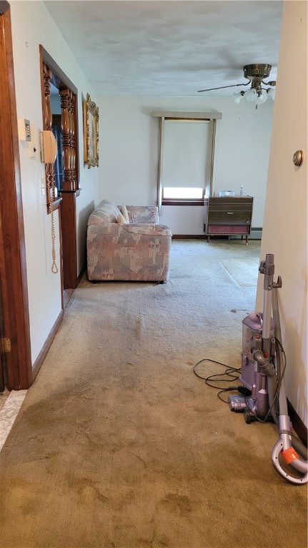 36 Dekalb Street