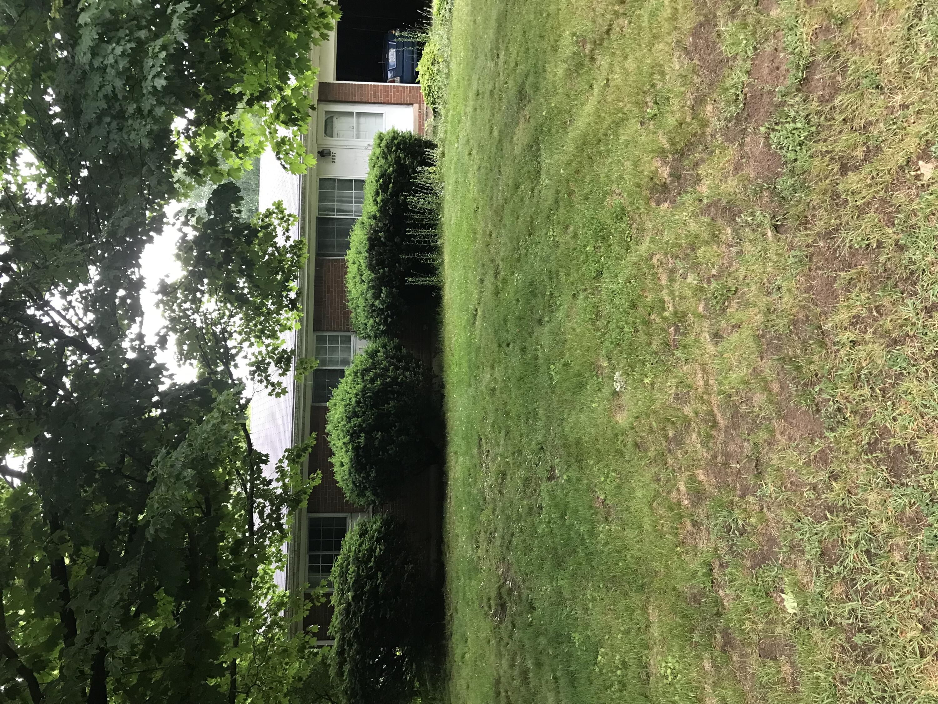 3607 Borgess Drive