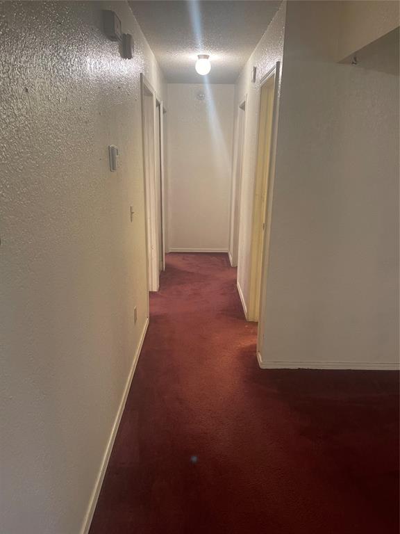 10104 Isaac Drive