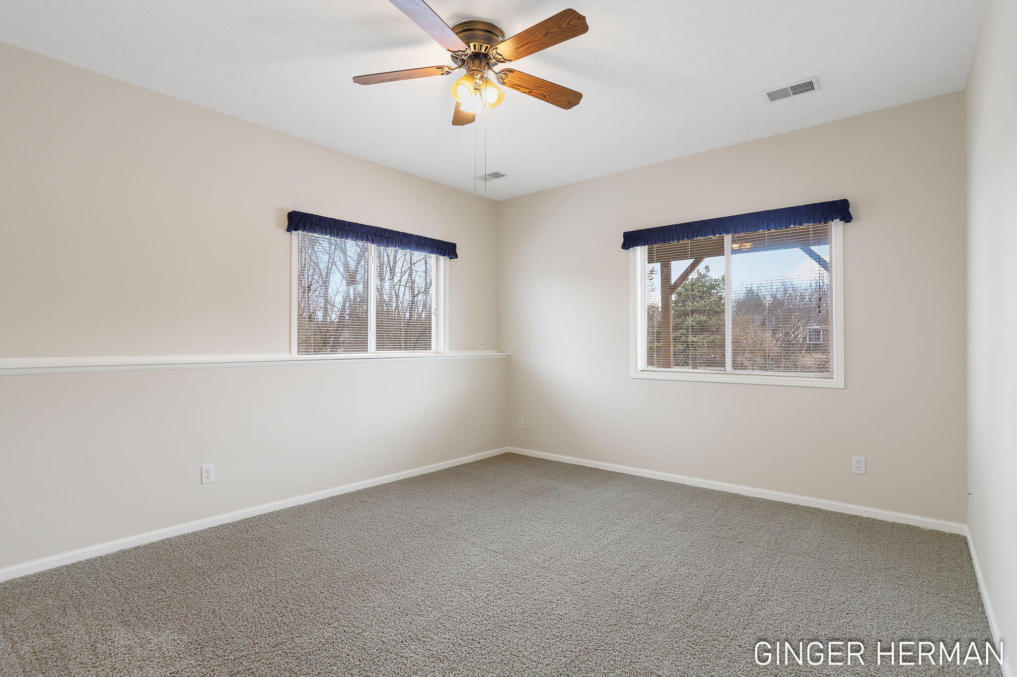 2989 Tansy Trail