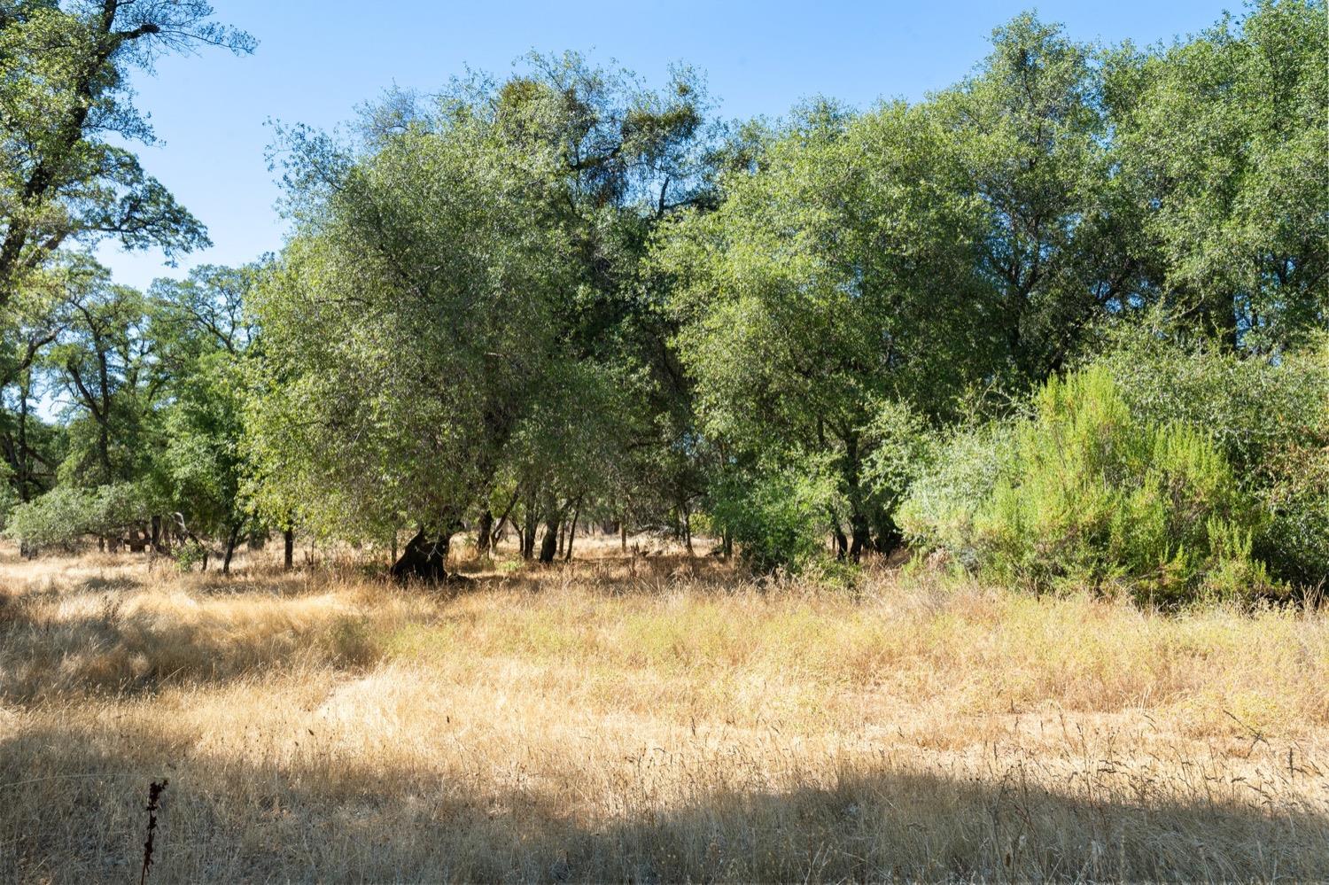 820 Brown Gables Road