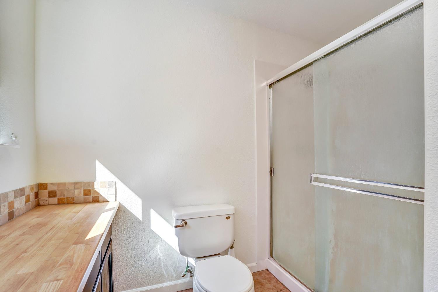 Bathroom with a frosted-glass shower enclosure, toilet, and wood-look vanity counter.